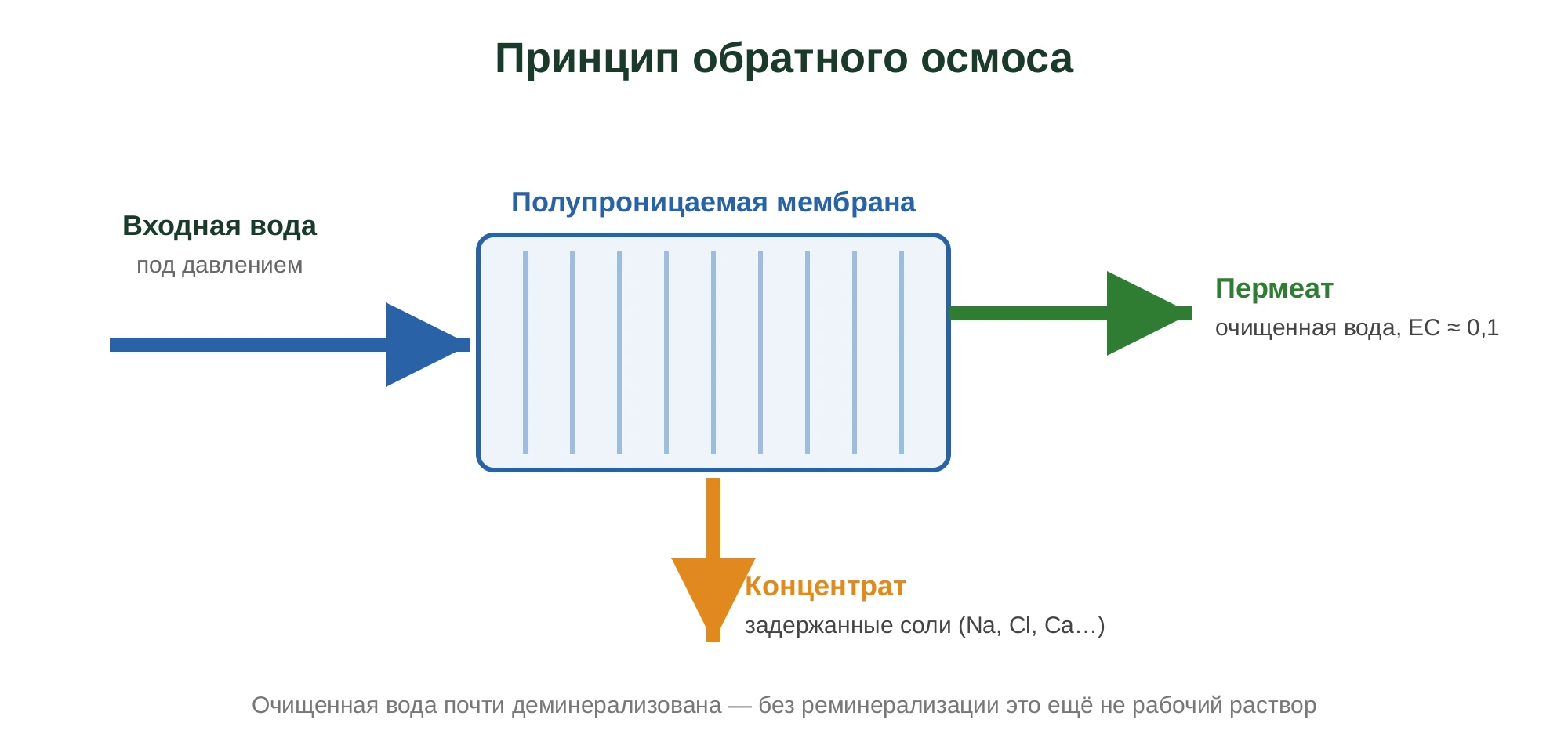 Схема обратного осмоса: входная вода под давлением через полупроницаемую мембрану делится на пермеат (очищенную воду) и концентрат с задержанными солями