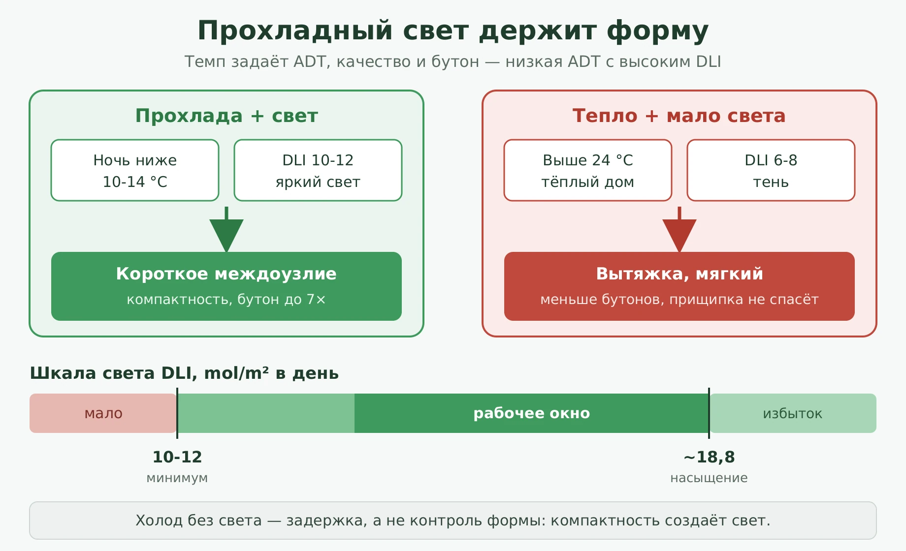 Схема: прохлада и яркий свет дают короткое междоузлие и до 7 раз больше бутонов, тепло при слабом свете даёт вытяжку; шкала DLI с рабочим окном 10-12 и насыщением 18,8 mol/m2 в день