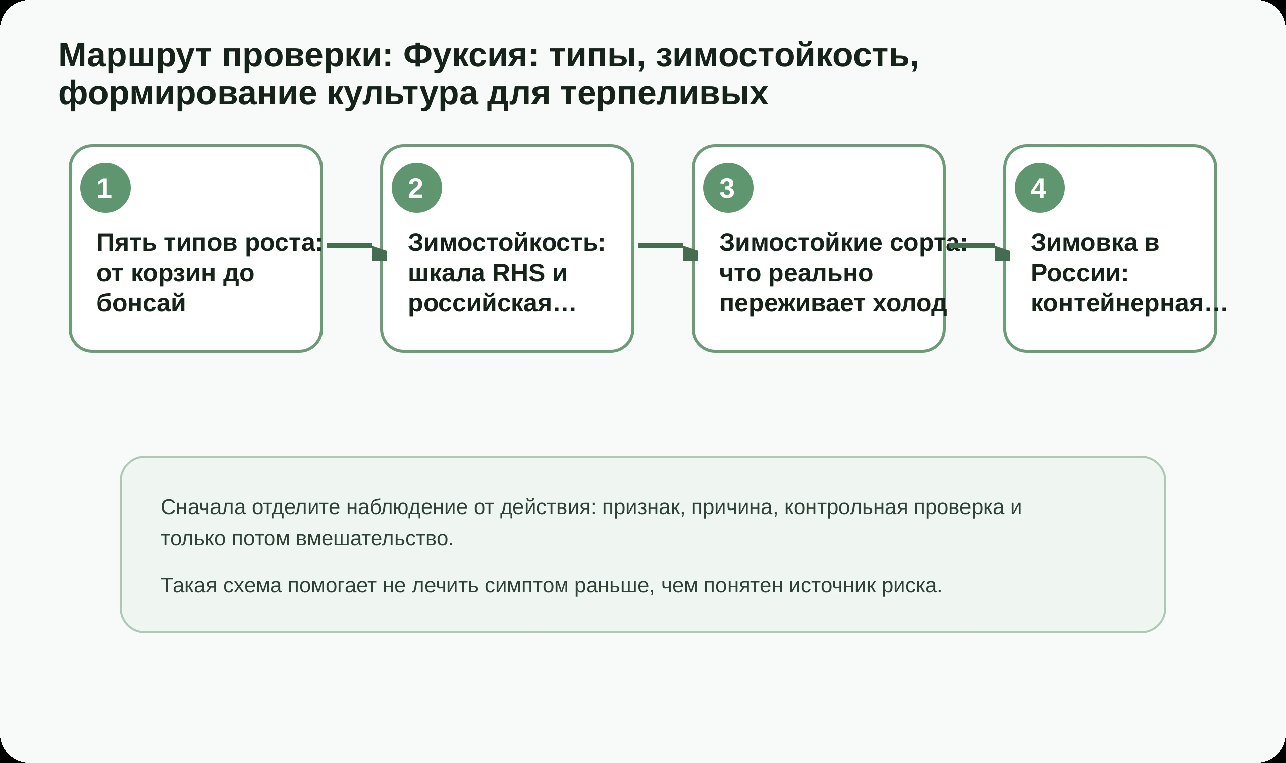Маршрут проверки по статье Фуксия: типы, зимостойкость, формирование культура для терпеливых