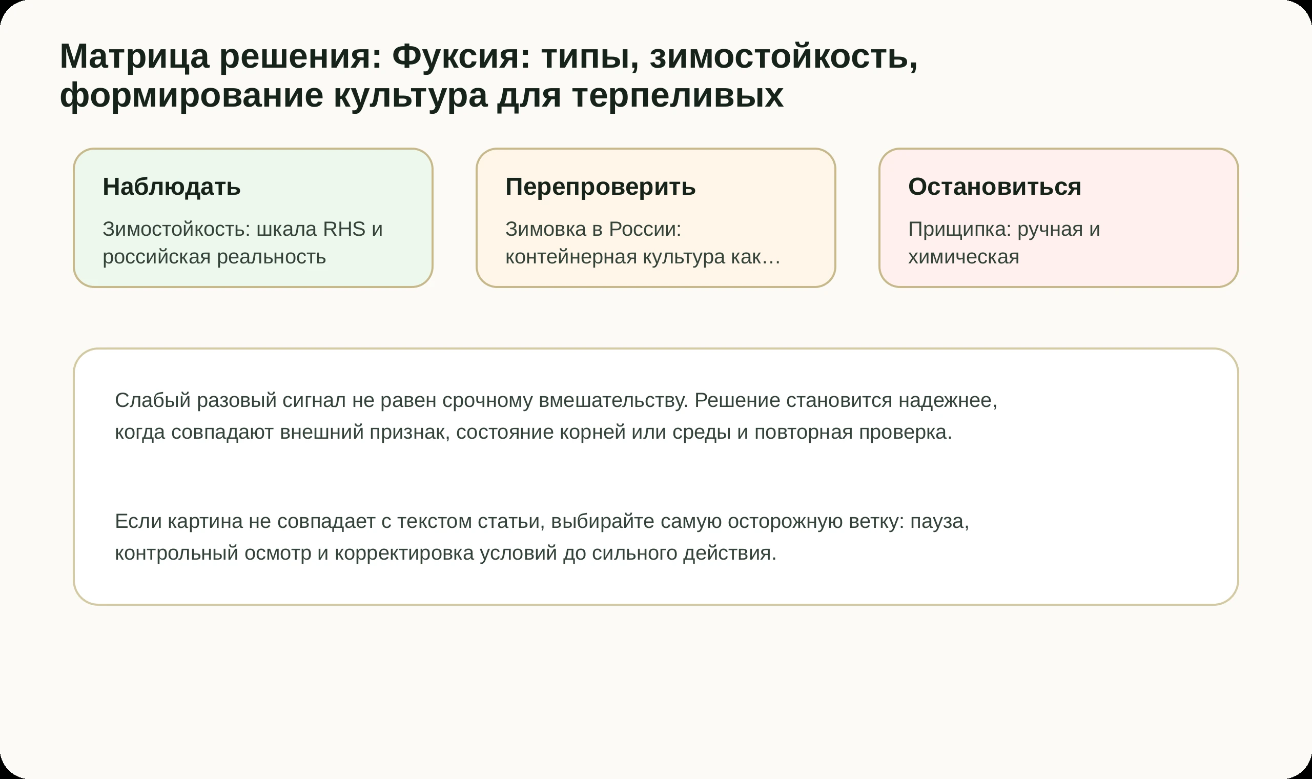 Матрица решений по статье Фуксия: типы, зимостойкость, формирование культура для терпеливых