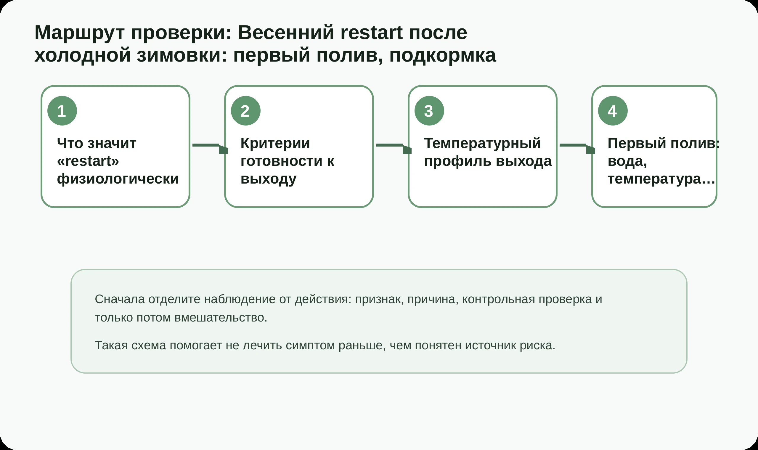 Маршрут проверки по статье Весенний restart после холодной зимовки: первый полив, подкормка