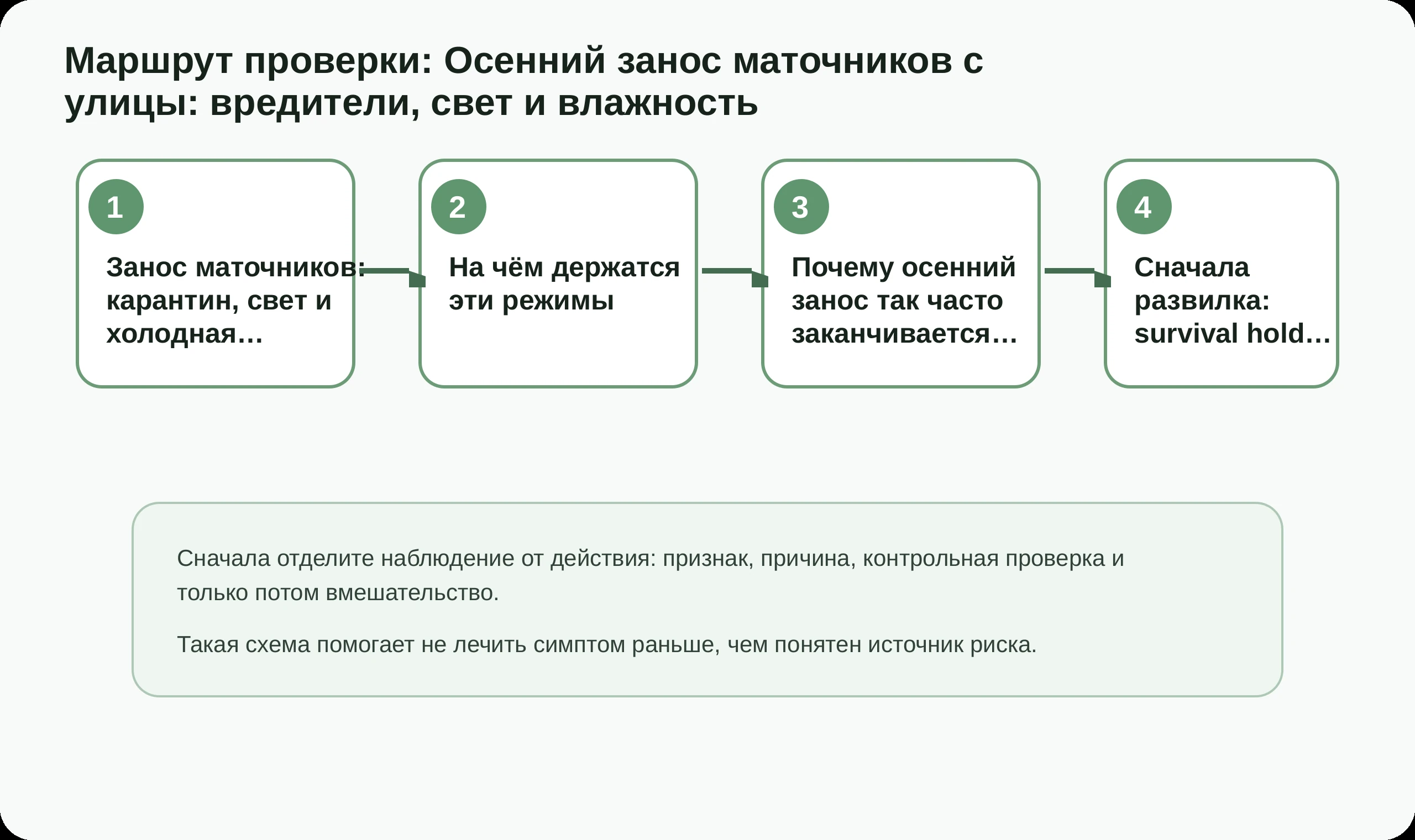 Маршрут проверки по статье Осенний занос маточников с улицы: вредители, свет и влажность