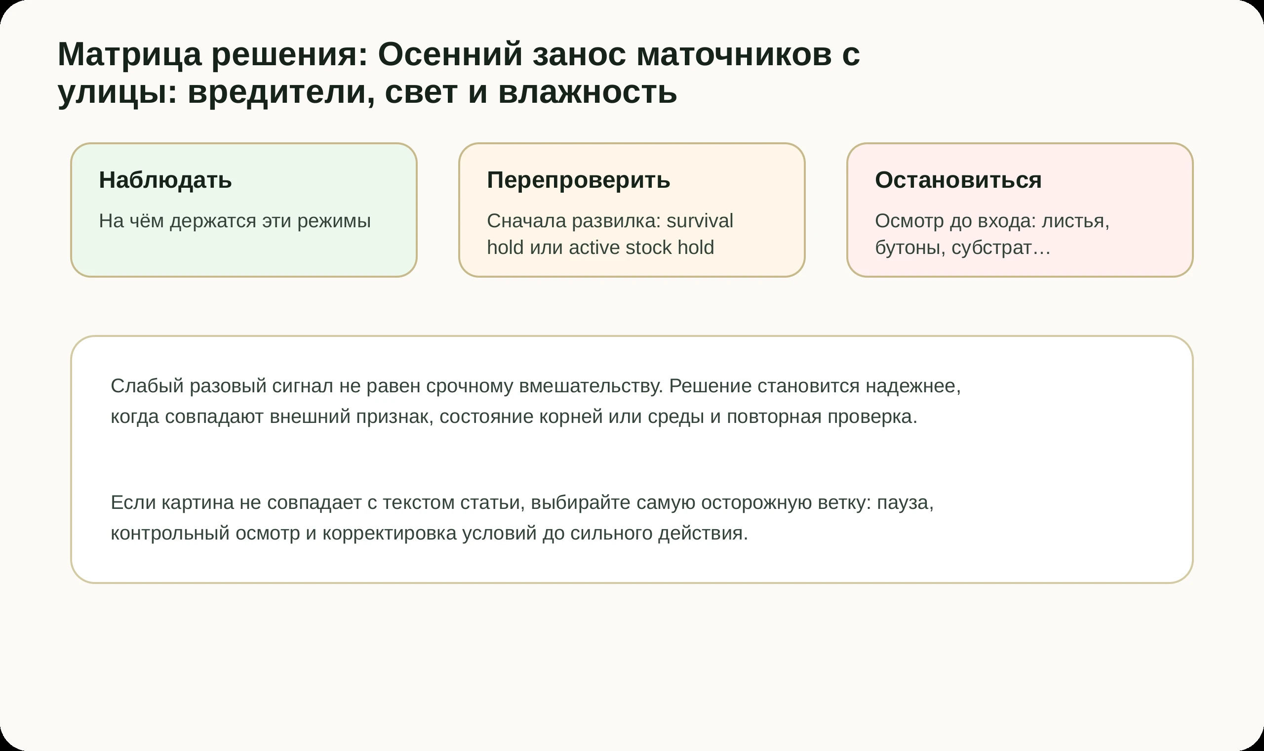 Матрица решений по статье Осенний занос маточников с улицы: вредители, свет и влажность