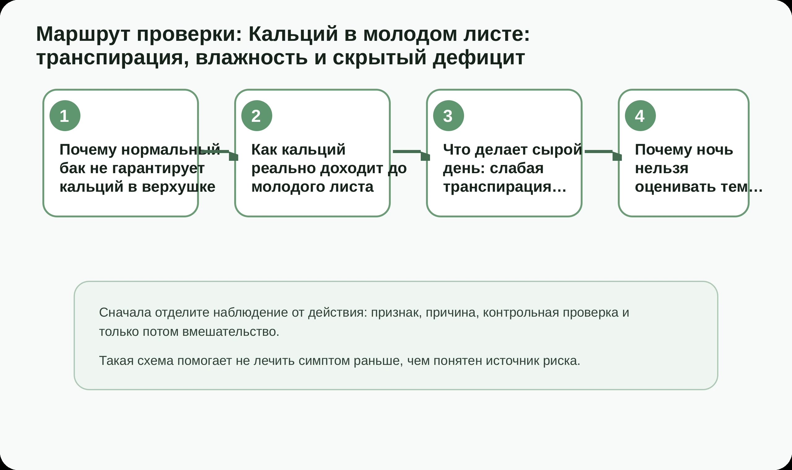 Маршрут проверки по статье Кальций в молодом листе: транспирация, влажность и скрытый дефицит