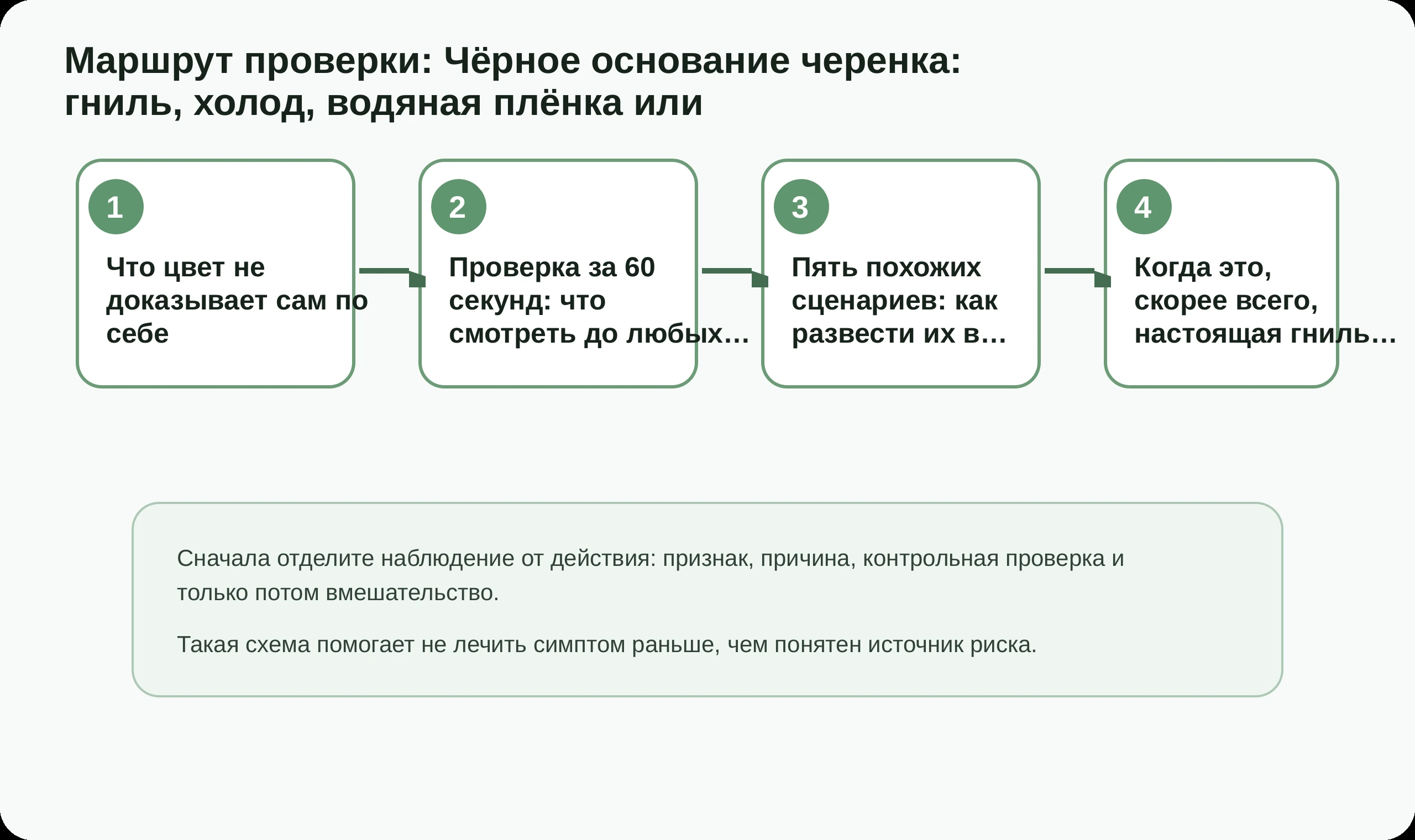 Маршрут проверки по статье Чёрное основание черенка: гниль, холод, водяная плёнка или