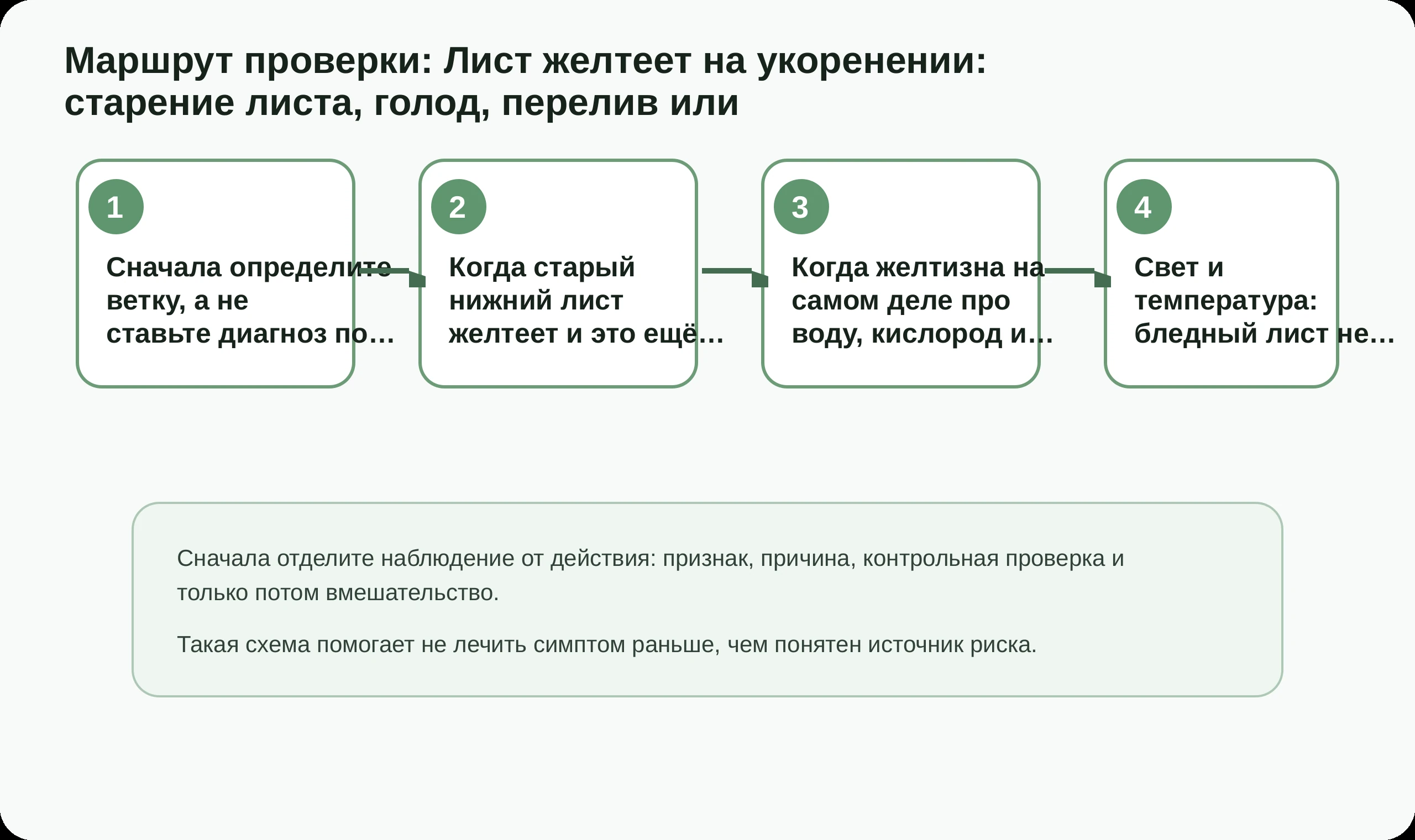 Маршрут проверки по статье Лист желтеет на укоренении: старение листа, голод, перелив или