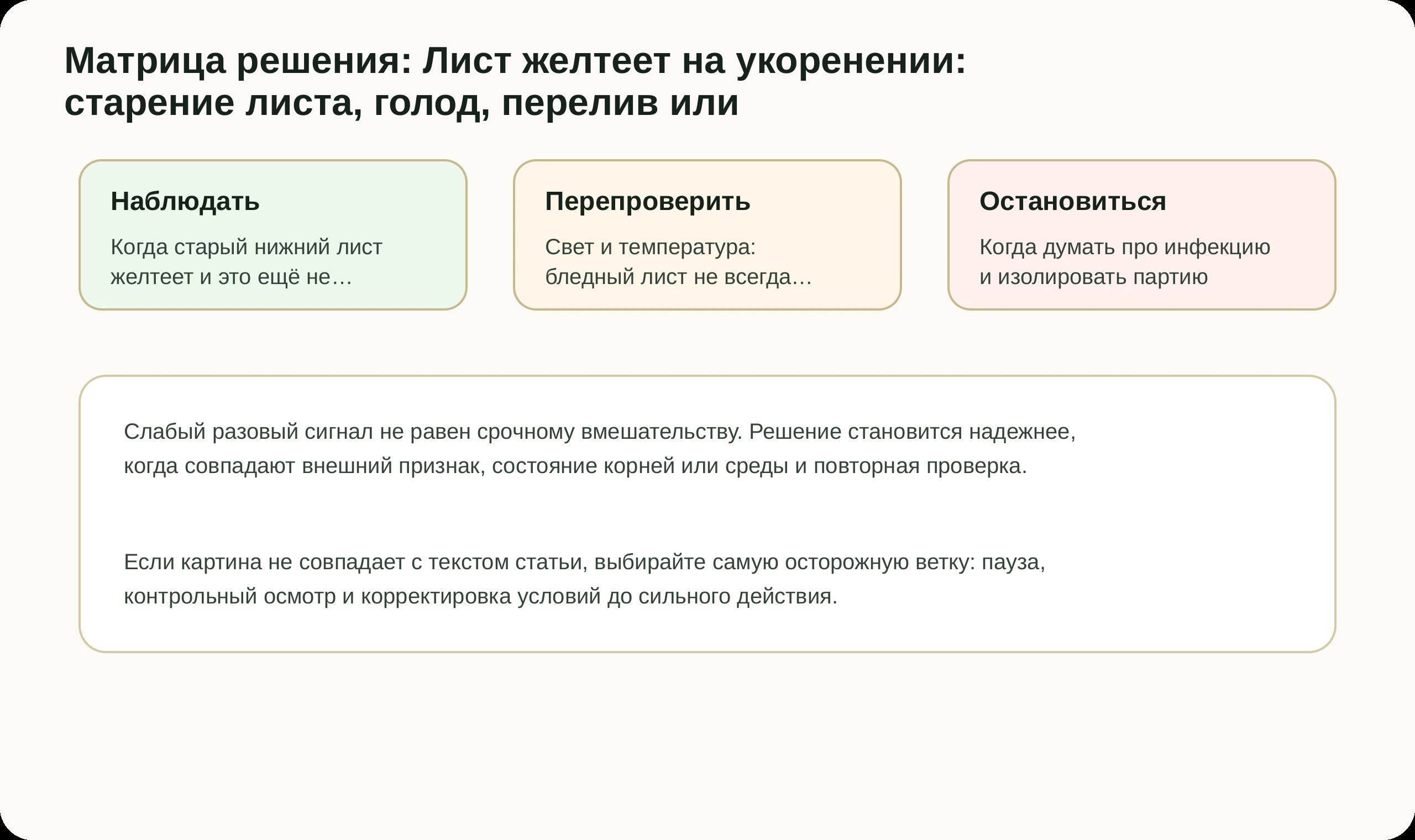 Матрица решений по статье Лист желтеет на укоренении: старение листа, голод, перелив или