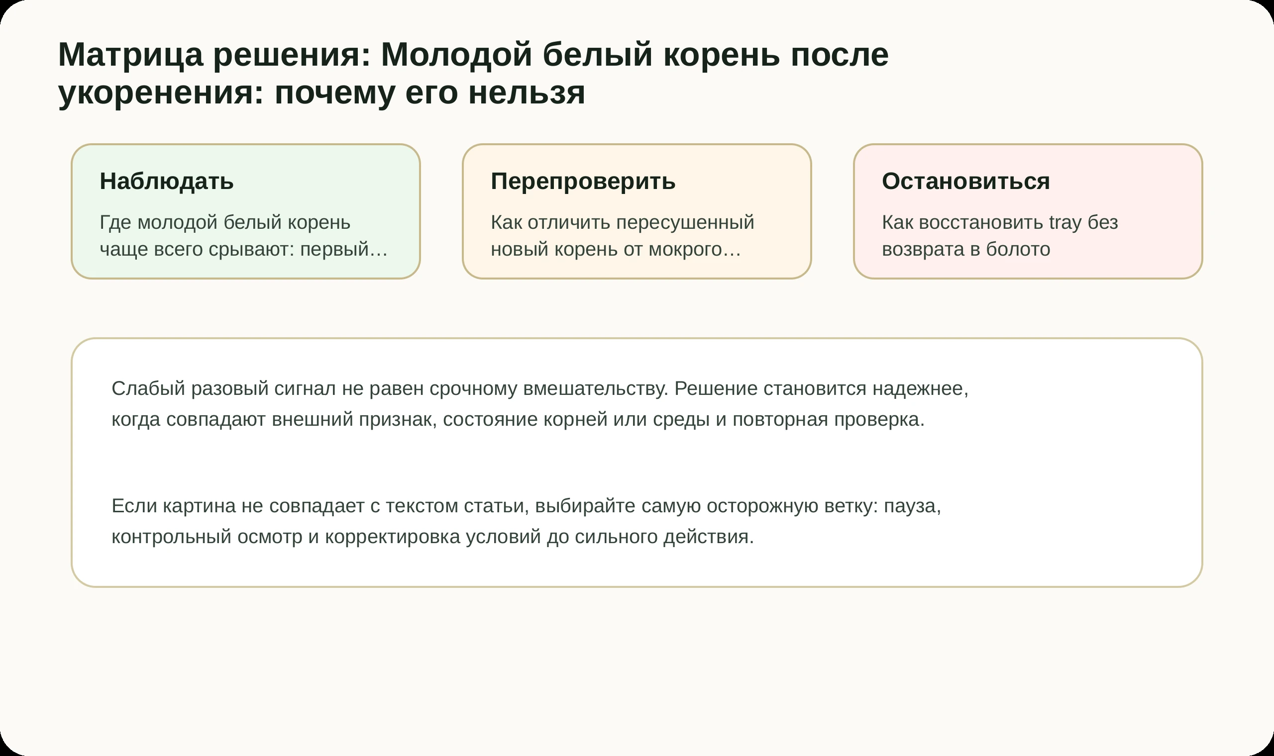 Матрица решений по статье Молодой белый корень после укоренения: почему его нельзя