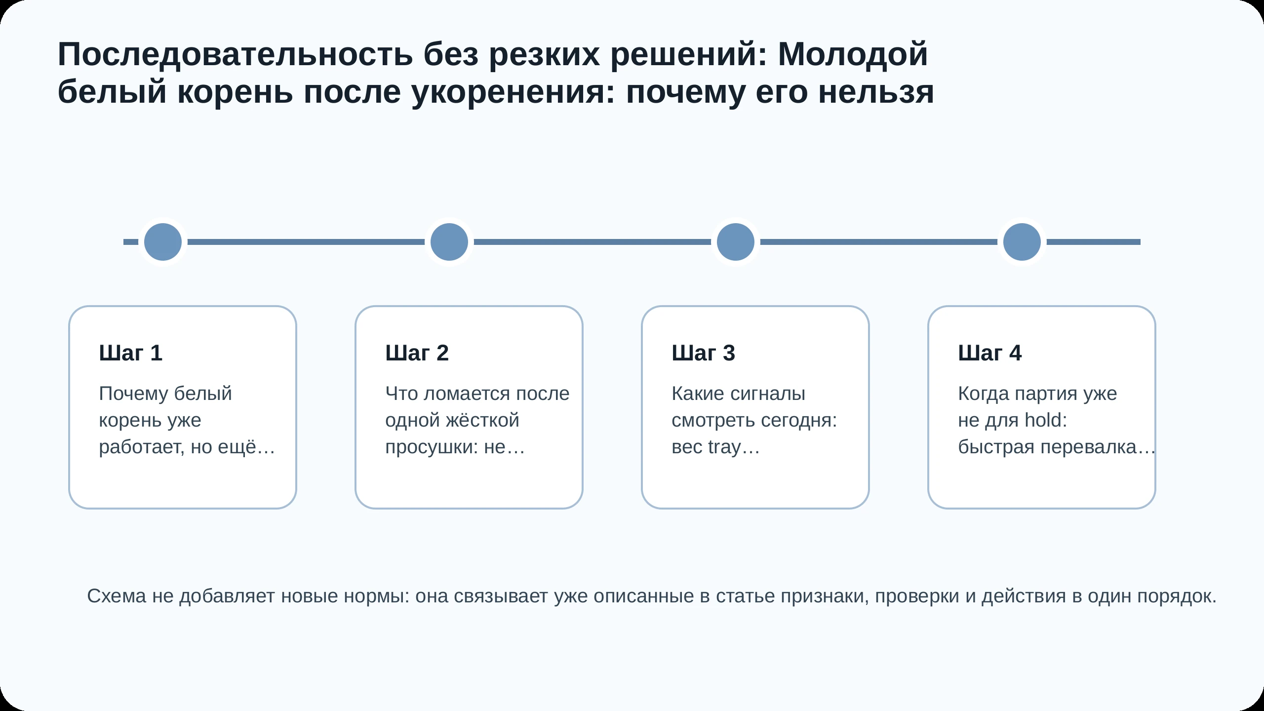 Последовательность действий по статье Молодой белый корень после укоренения: почему его нельзя