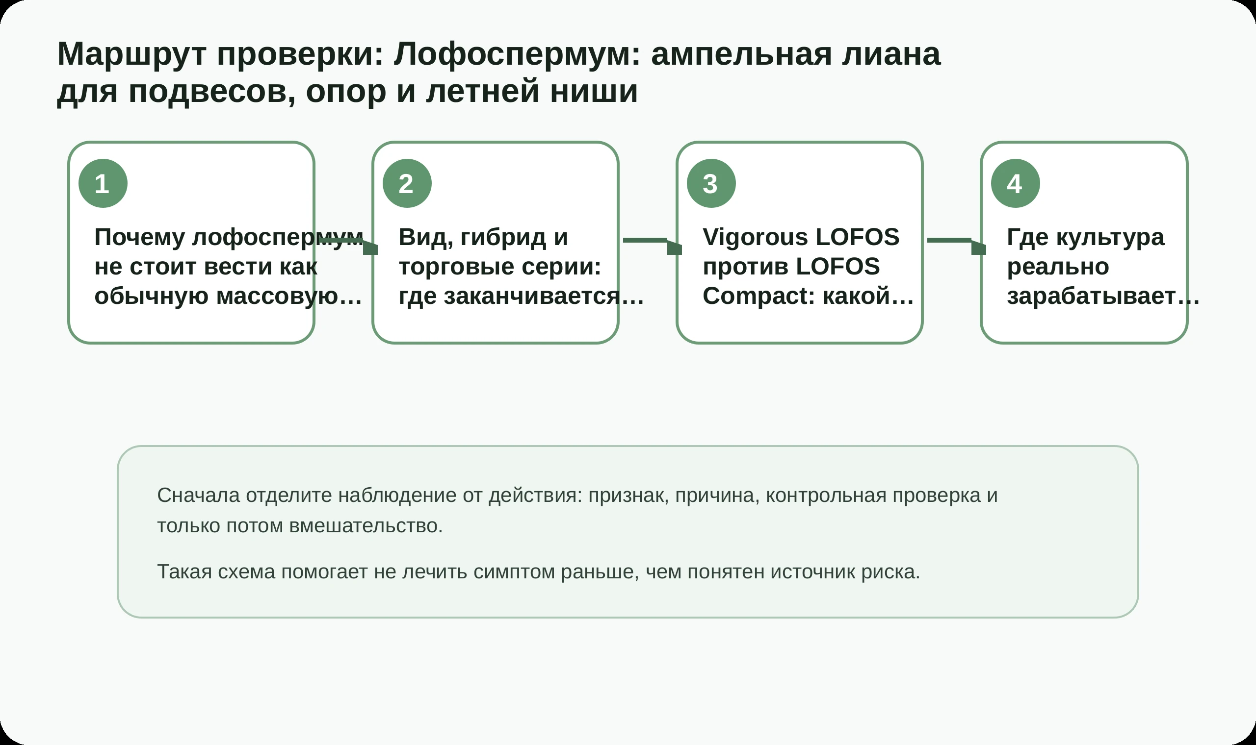 Маршрут проверки по статье Лофоспермум: ампельная лиана для подвесов, опор и летней ниши