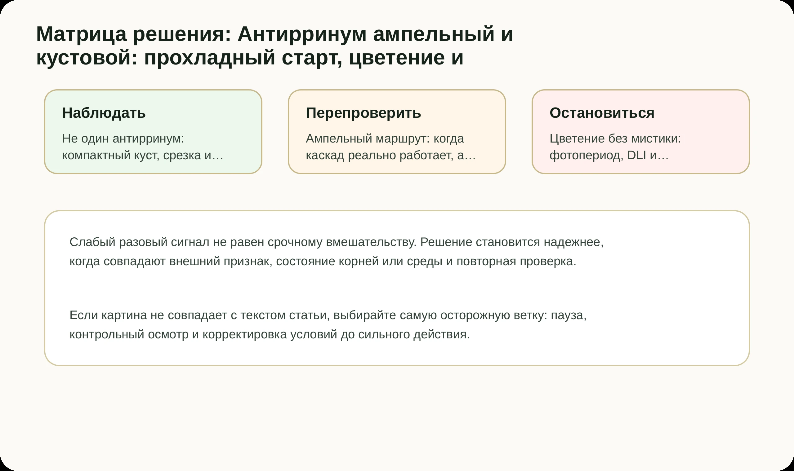 Матрица решений по статье Антирринум ампельный и кустовой: прохладный старт, цветение и
