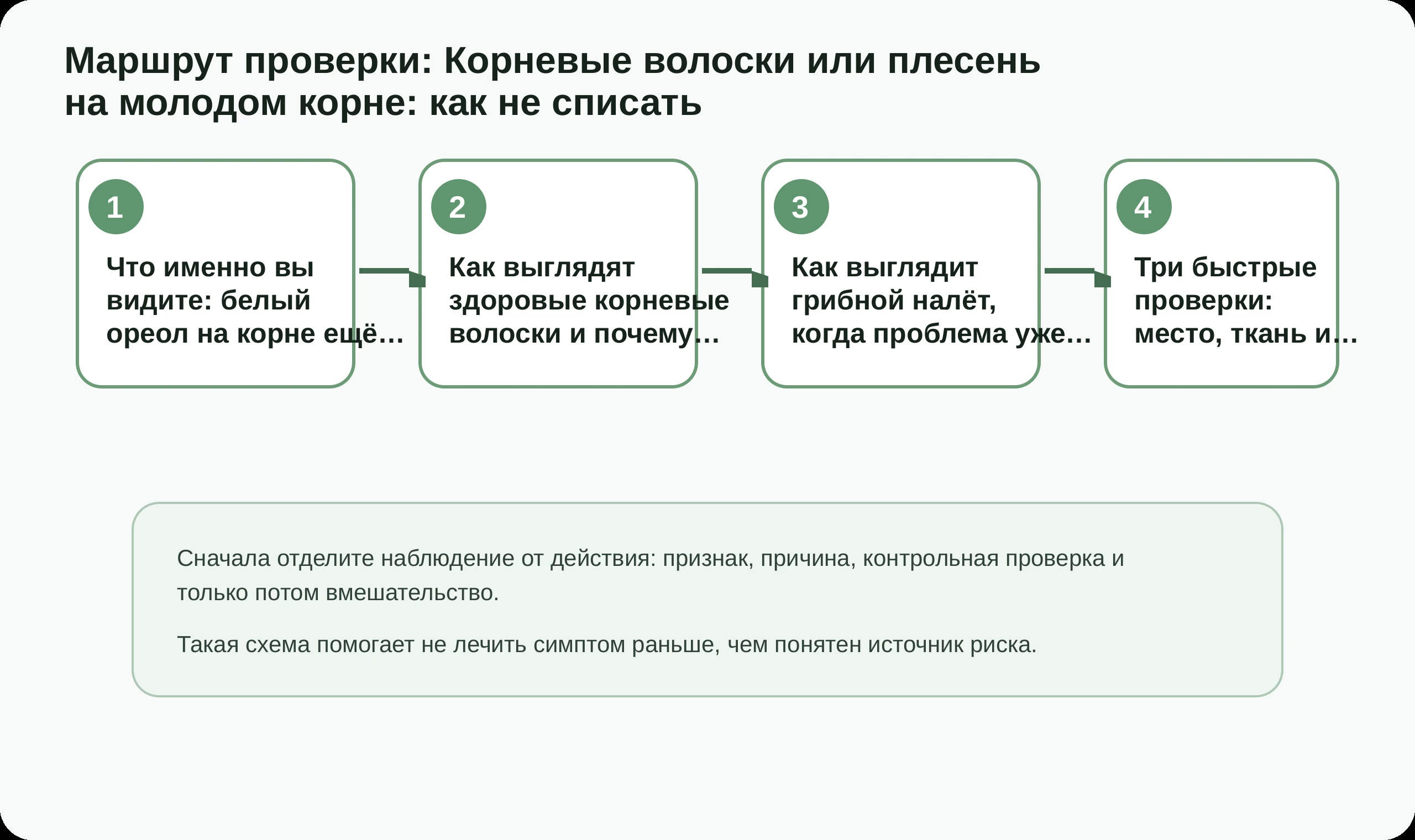 Маршрут проверки по статье Корневые волоски или плесень на молодом корне: как не списать