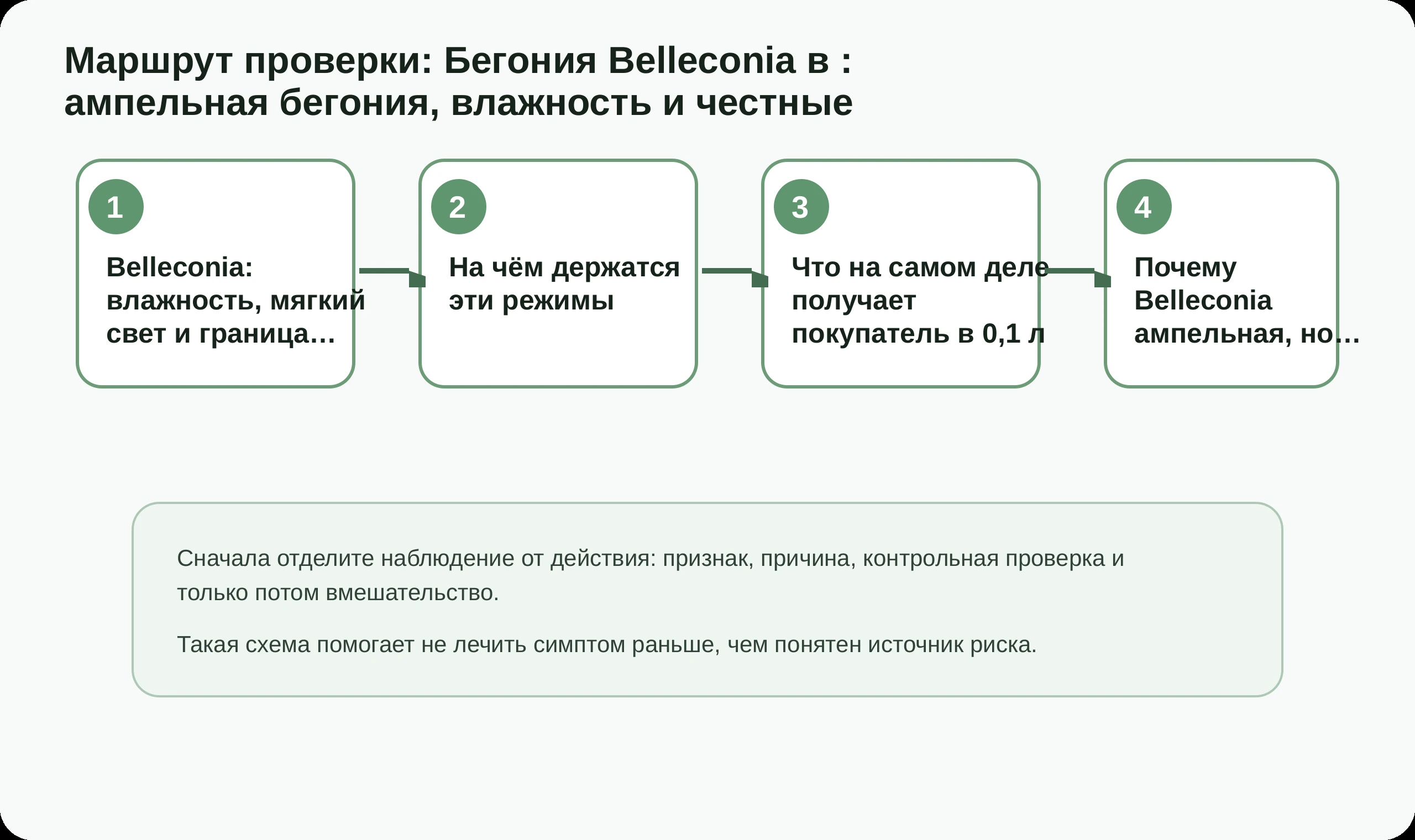 Маршрут проверки по статье Бегония Belleconia в : ампельная бегония, влажность и честные