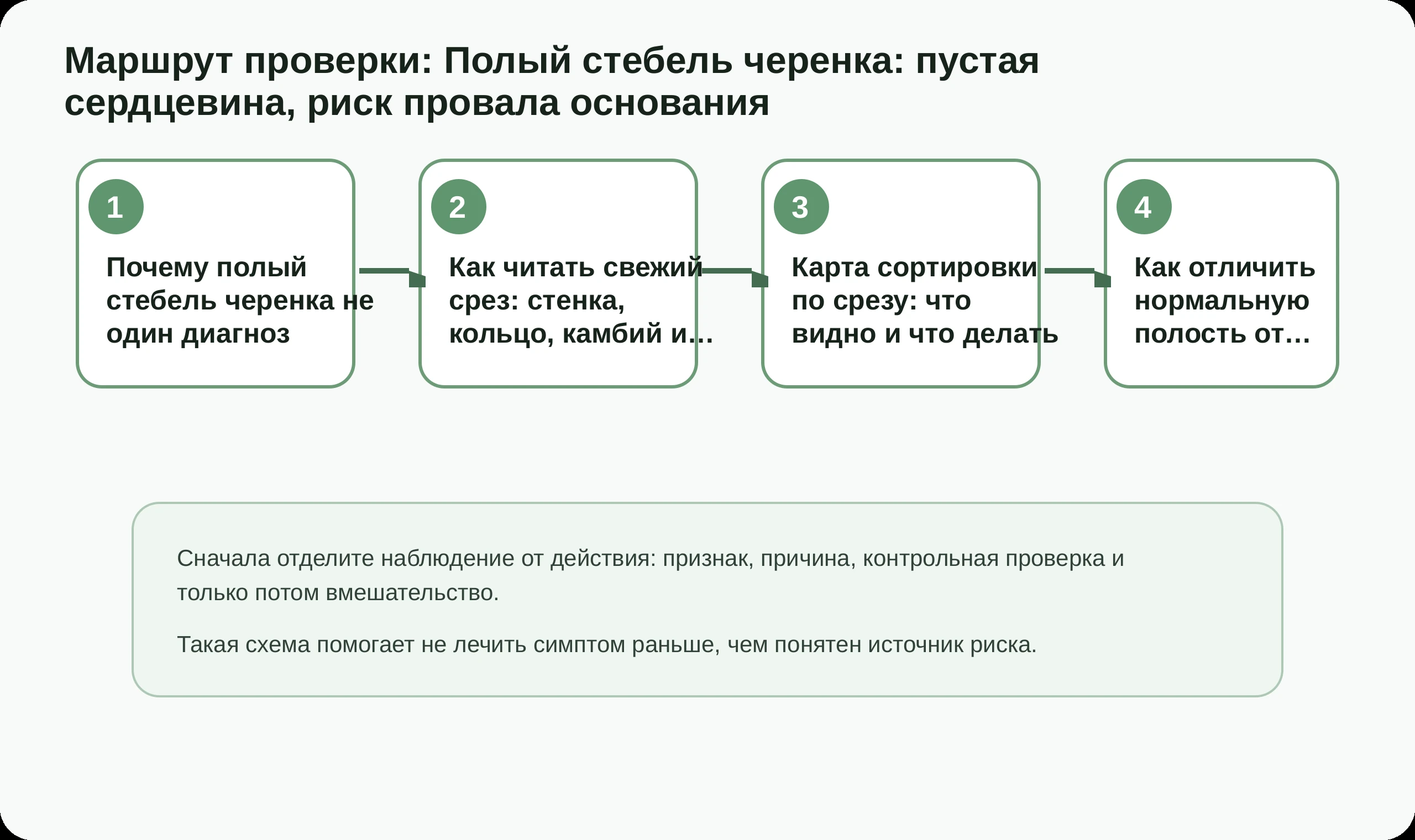 Маршрут проверки по статье Полый стебель черенка: пустая сердцевина, риск провала основания