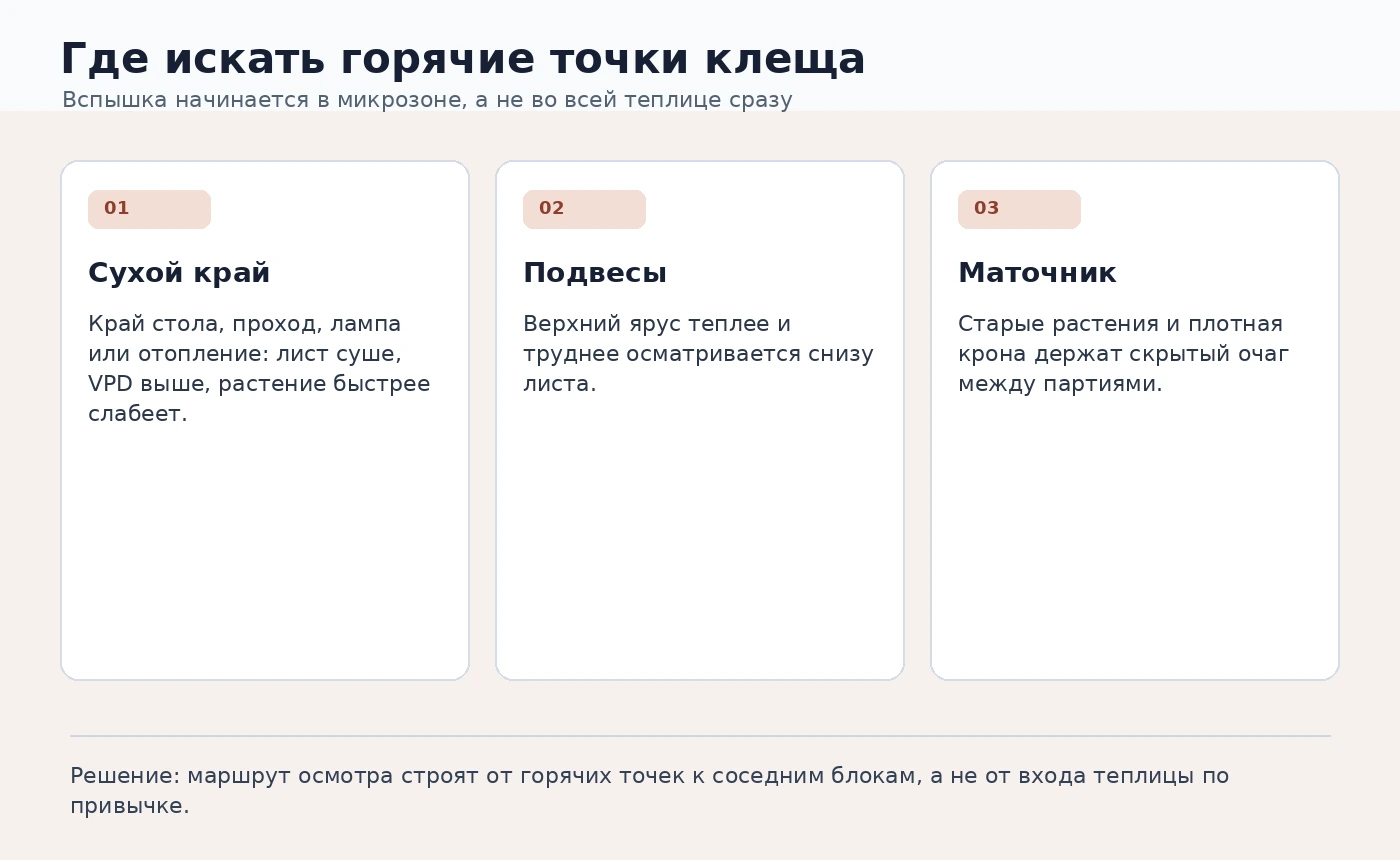 Схема горячих точек паутинного клеща в теплице