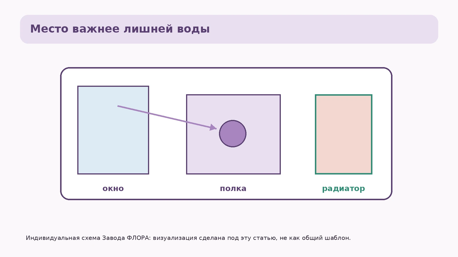 Карта размещения пеллионии: окно, полка и мини-тепличка
