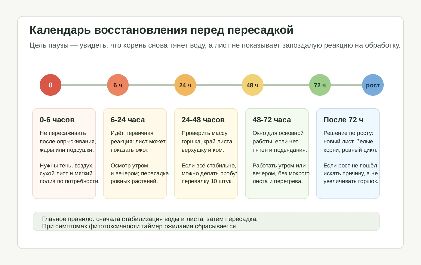 Календарь восстановления растения в первые 72 часа перед пересадкой