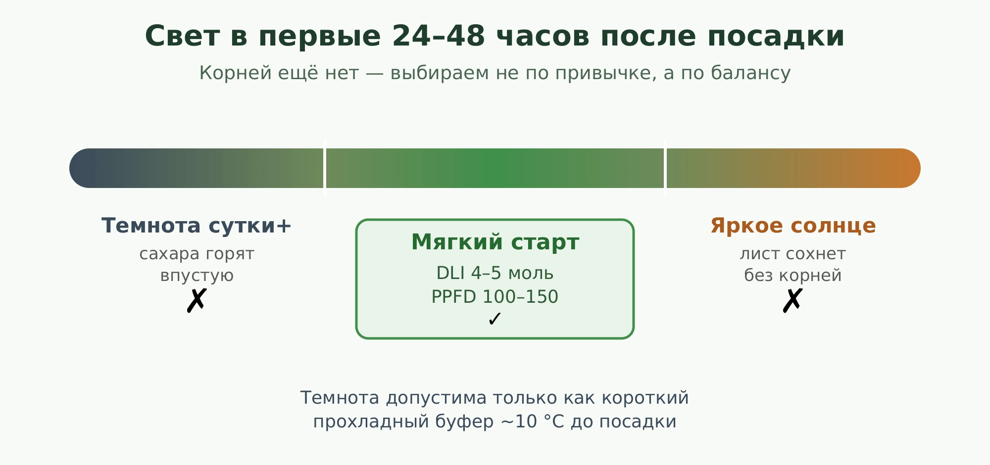Шкала света в первые 24-48 часов: темнота, мягкий старт, яркое солнце