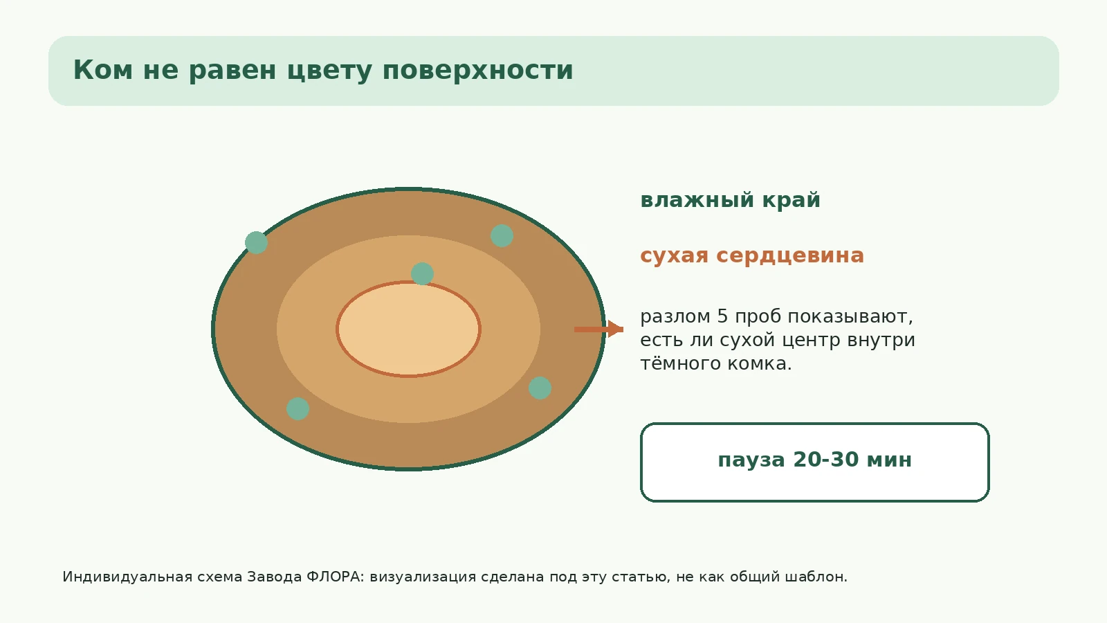 Разрез комка субстрата: влажный край и сухая сердцевина