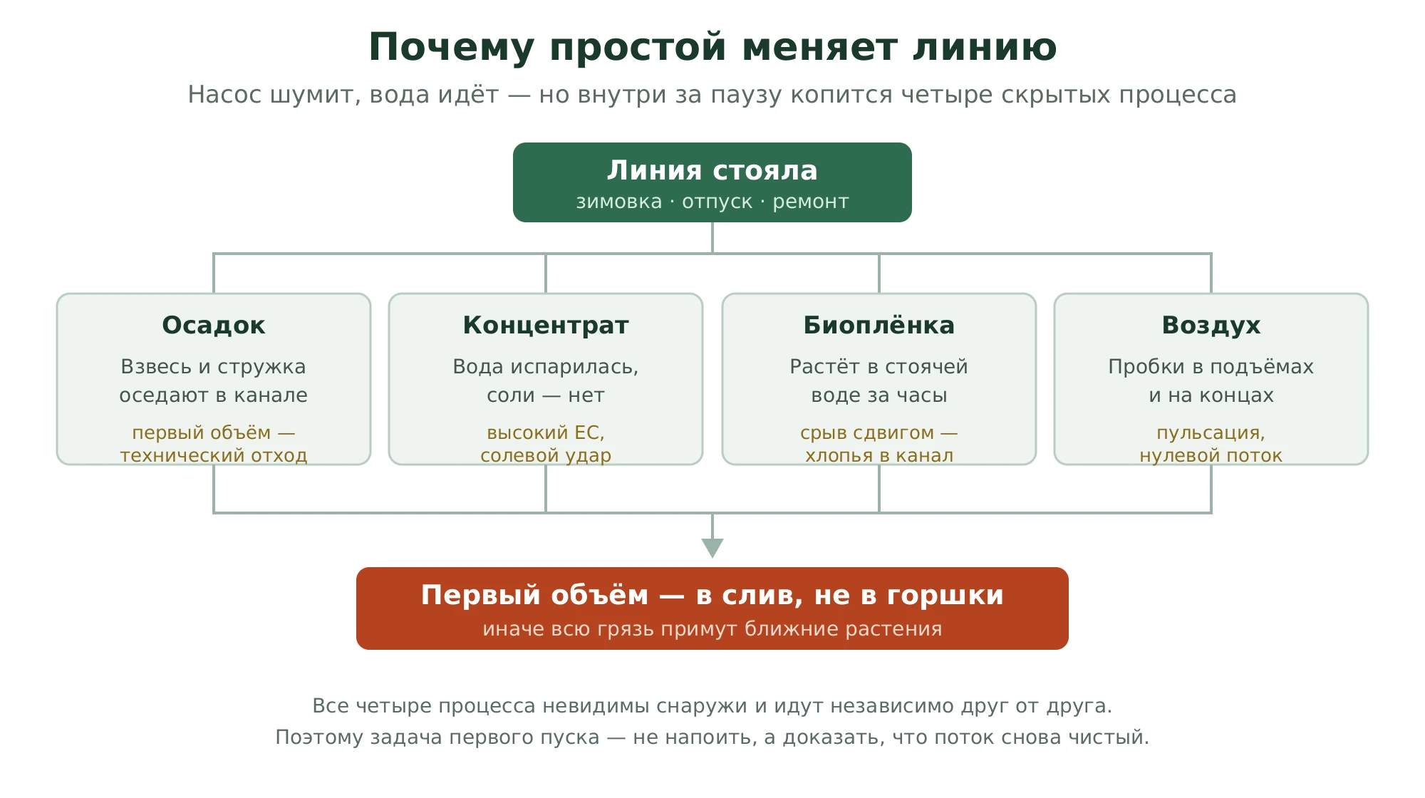 Схема: за простой в капельной линии копятся четыре скрытых процесса, поэтому первый объём воды сбрасывают в слив, а не в горшки