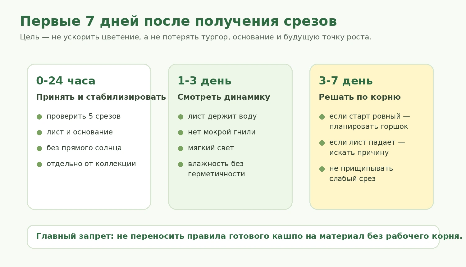 Первые 7 дней после получения срезов Bee's Knees Yellow