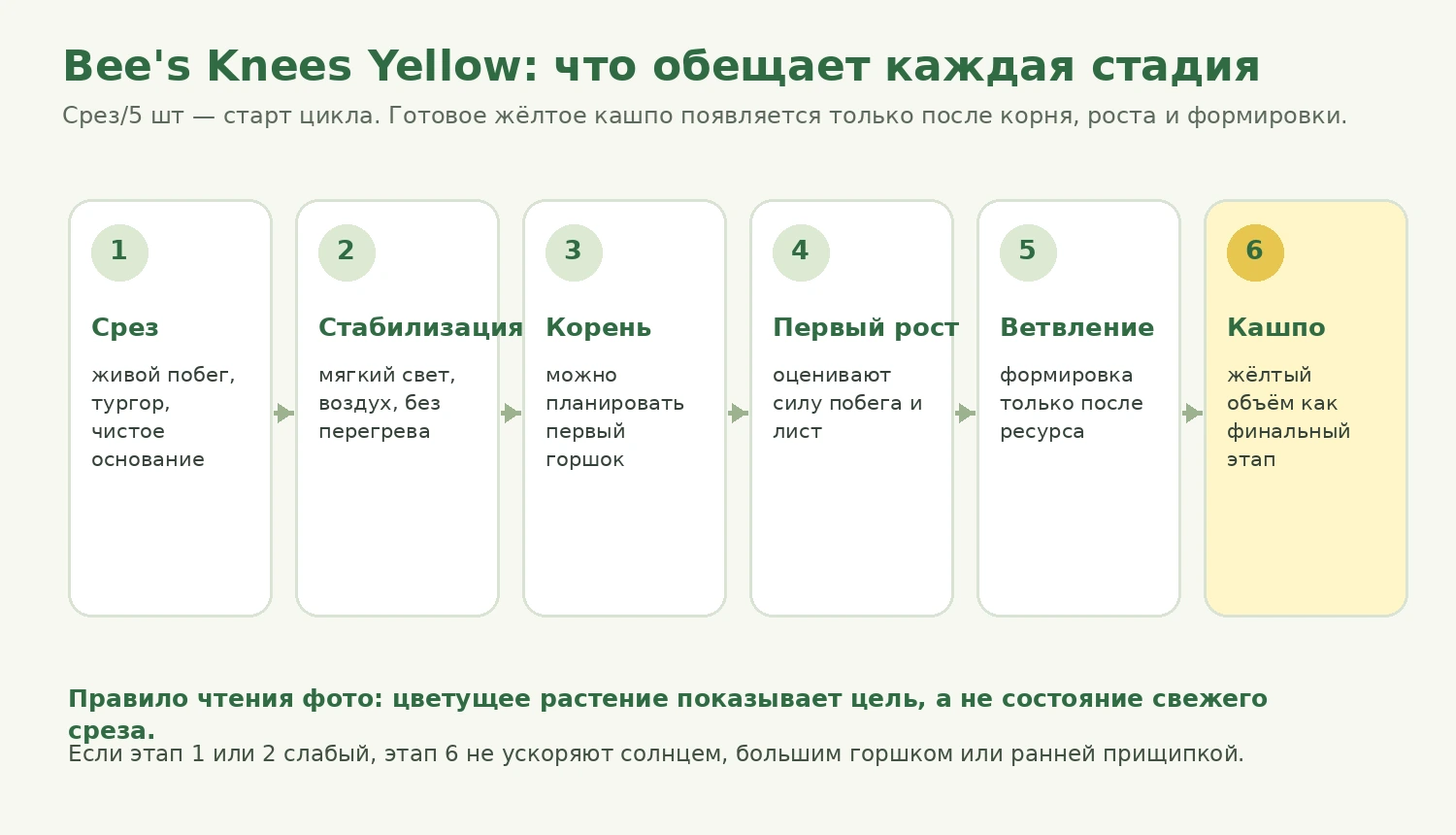 Лестница ожиданий Bee's Knees Yellow от среза до жёлтого кашпо