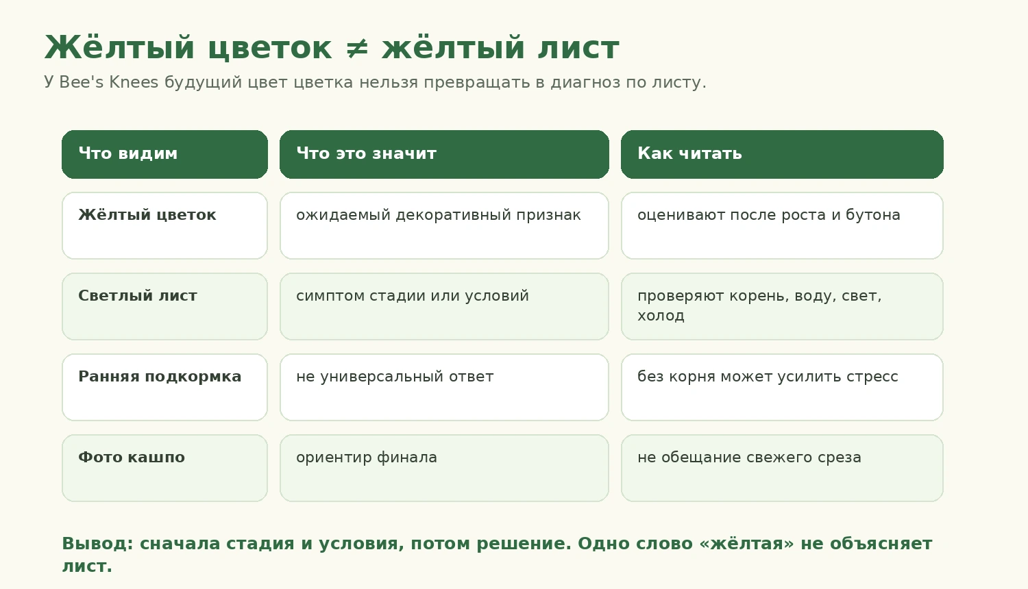 Жёлтый цветок Bee's Knees Yellow не равен жёлтому листу у среза