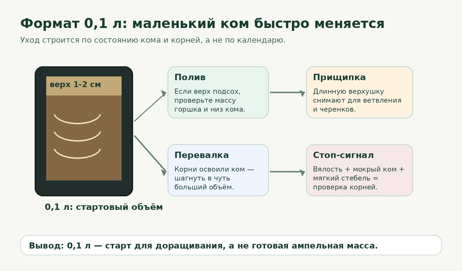 Схема: формат 0,1 л, проверка верхнего слоя, полив, перевалка, прищипка и стоп-сигналы
