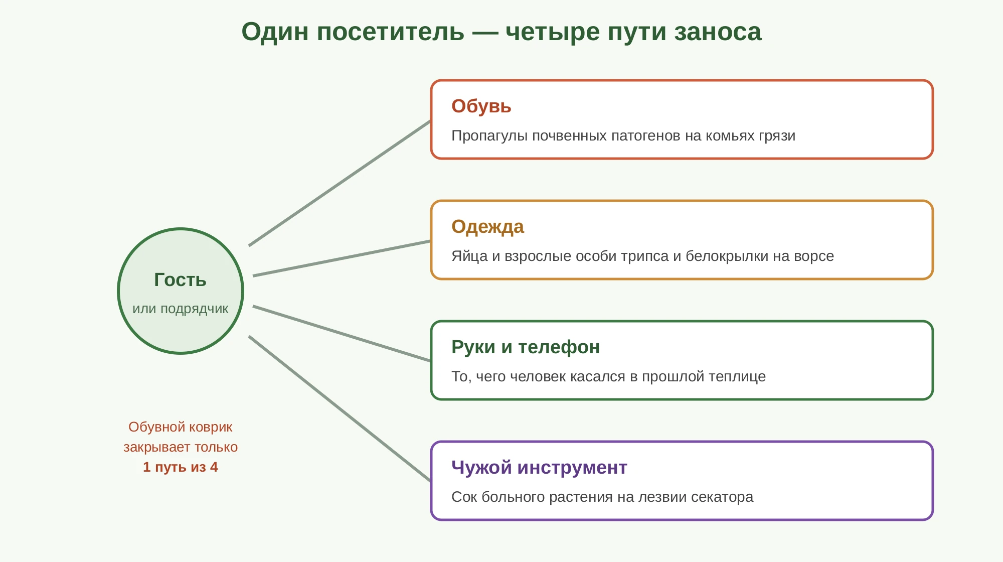 Схема: один посетитель несёт четыре независимых пути заноса — обувь, одежда, руки, инструмент; обувной коврик закрывает только один из них.