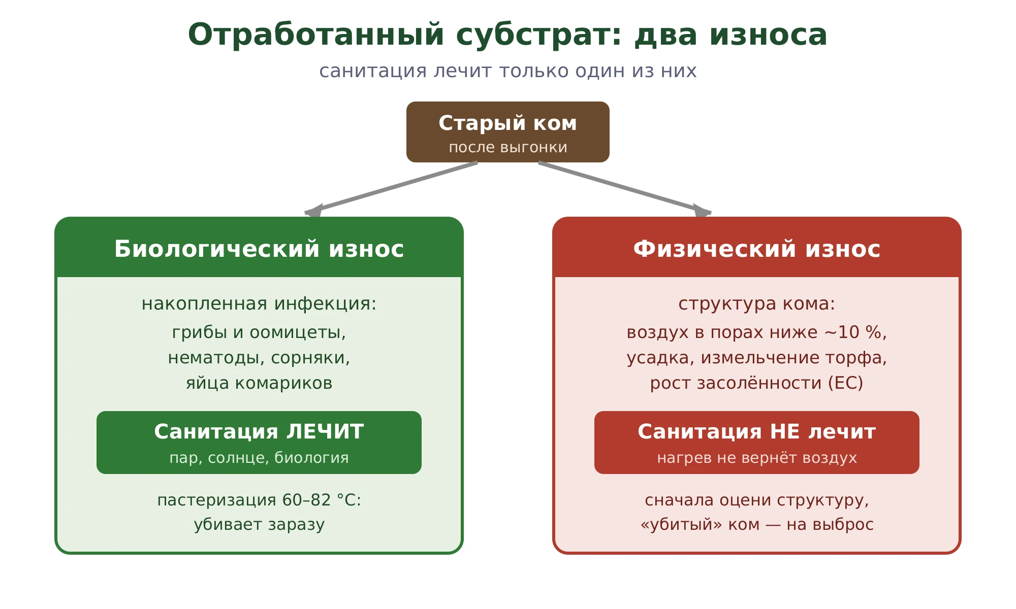 Два независимых износа субстрата: биологический лечится санитацией, физический — нет