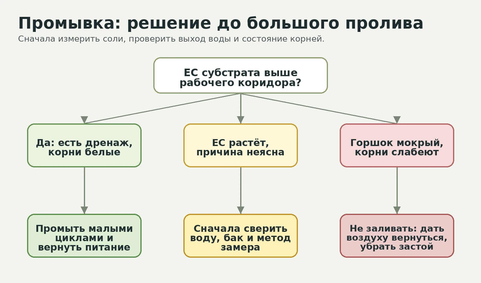 Схема решения: промывать субстрат малыми циклами, если соли высокие, дренаж есть и корни живые; не заливать мокрый ком при слабых корнях.