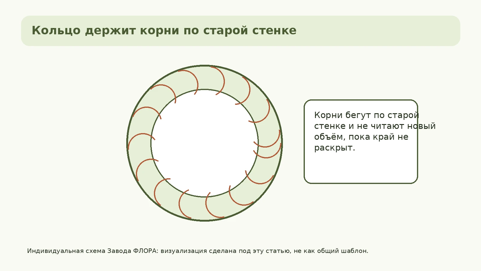 Кассетный ком с корневым кольцом по краю и новым объёмом вокруг