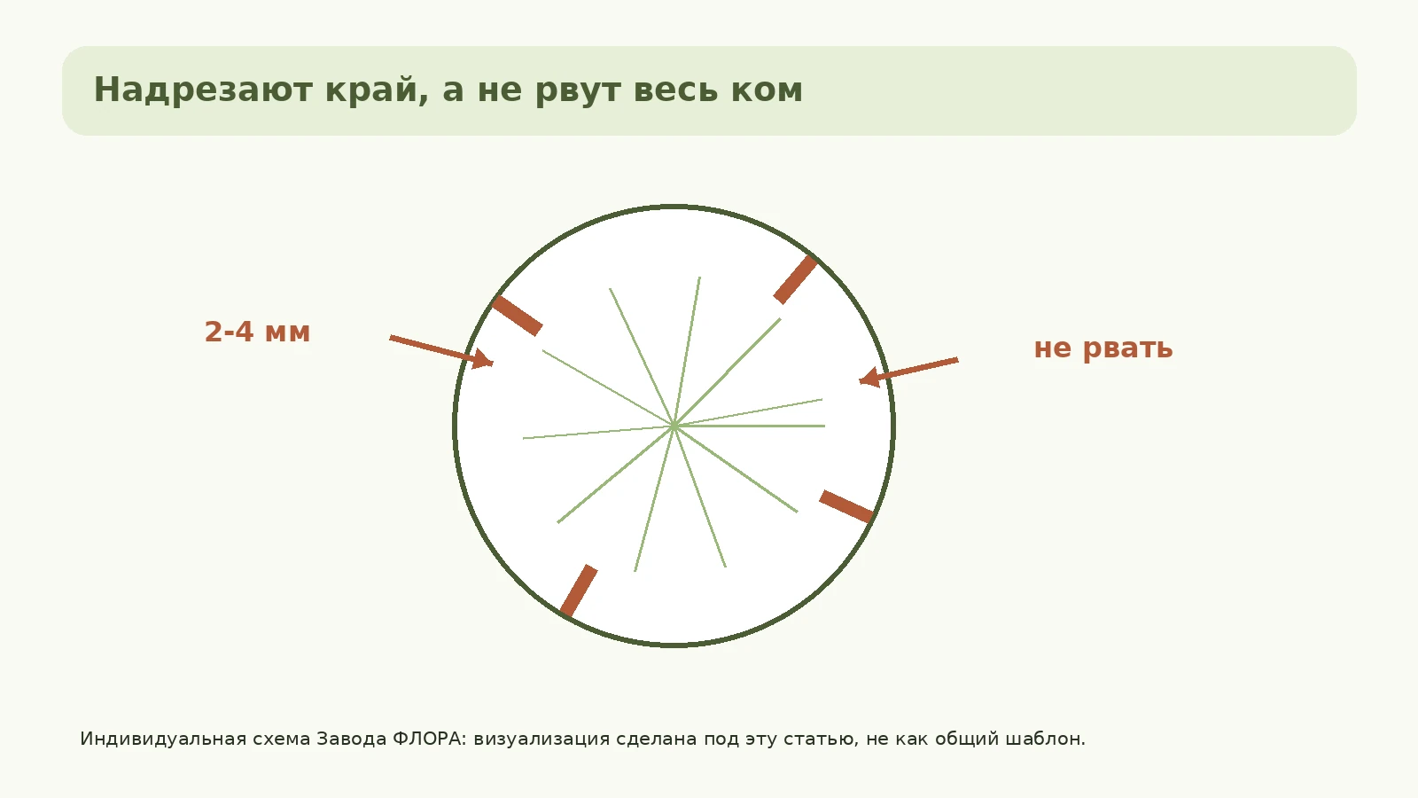 Кассетный ком с мягкими надрезами 2-4 мм по внешнему корневому кольцу