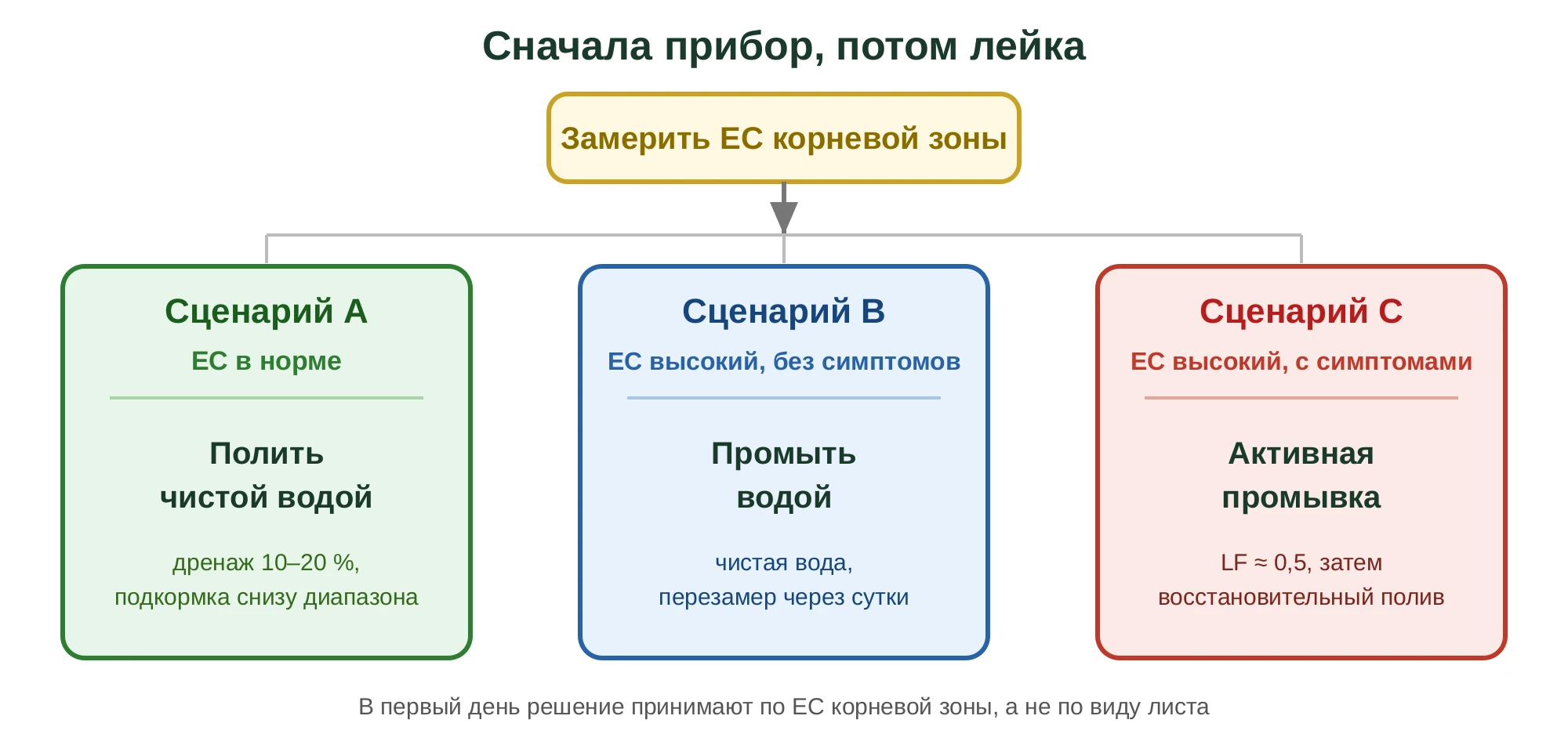 Алгоритм первого дня после доставки: сначала замер EC корневой зоны, затем три сценария — A (EC в норме: полить чистой водой), B (EC высокий без симптомов: промыть водой), C (EC высокий с симптомами: активная промывка)
