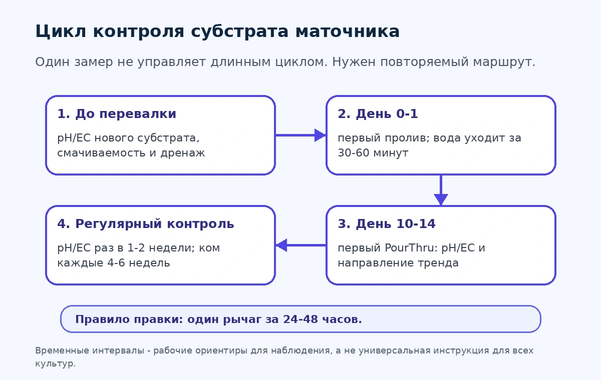 Временная схема контроля субстрата маточника от перевалки до регулярных проверок pH, EC и корней.