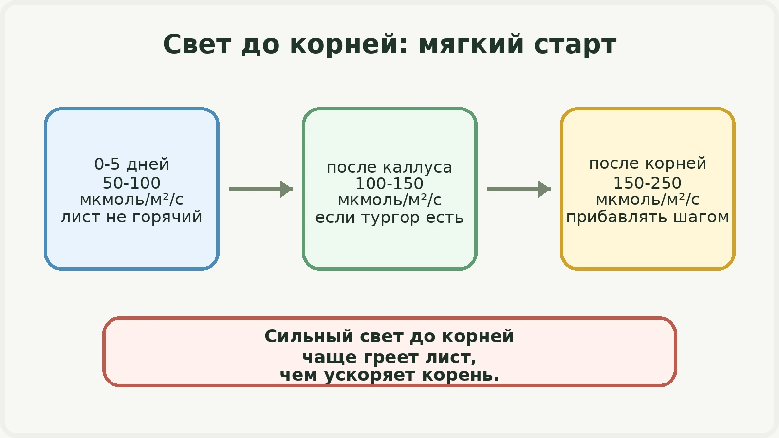 Схема мягкого старта света для черенков до появления корней