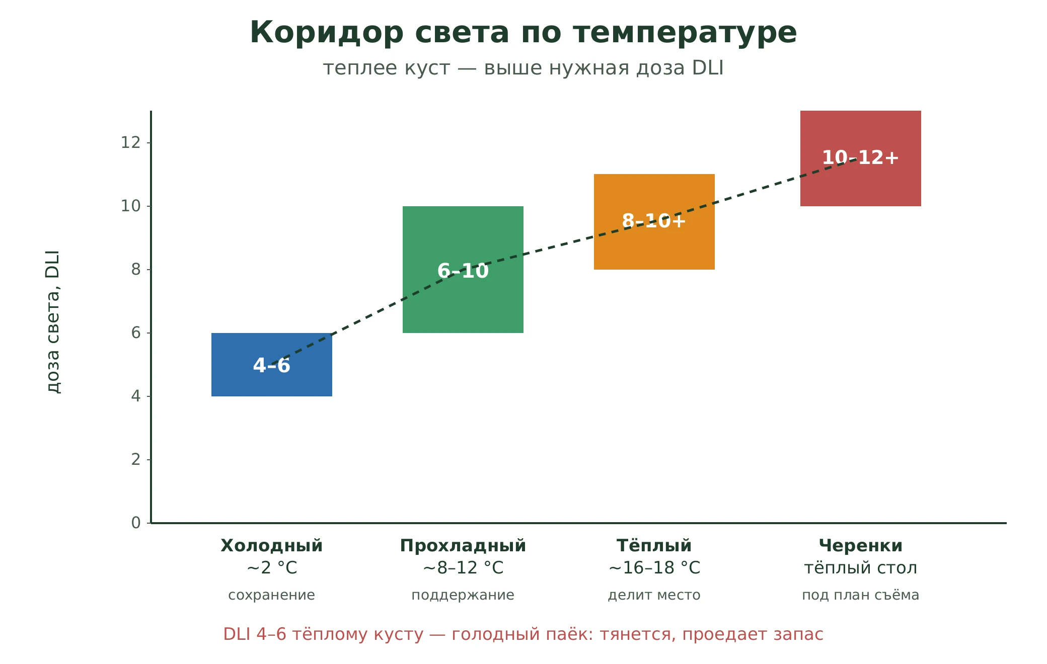Коридор сохраняющего света по температуре зоны: холодный куст около 2 градусов держат при DLI 4-6, прохладный 8-12 при DLI 6-10, тёплый 16-18 при DLI 8-10 и выше, активное черенкование при DLI 10-12 и выше; чем теплее куст, тем выше нужная доза света