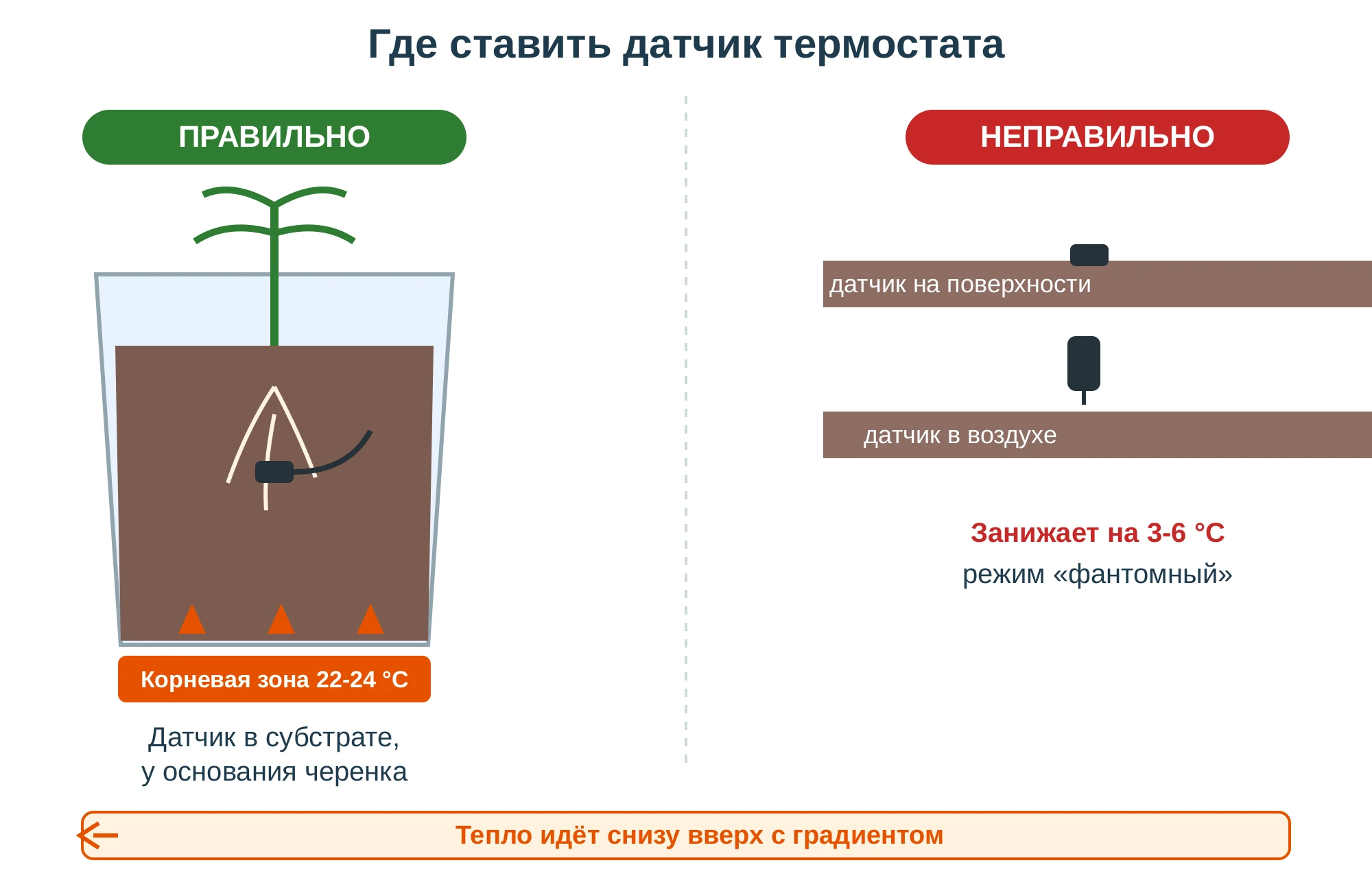 Где ставить датчик термостата: правильно — заглублён в субстрат к основанию черенка, показывает 22-24 °C корневой зоны; неправильно — на поверхности или в воздухе, занижает на 3-6 °C, режим фантомный. Тепло идёт снизу вверх.