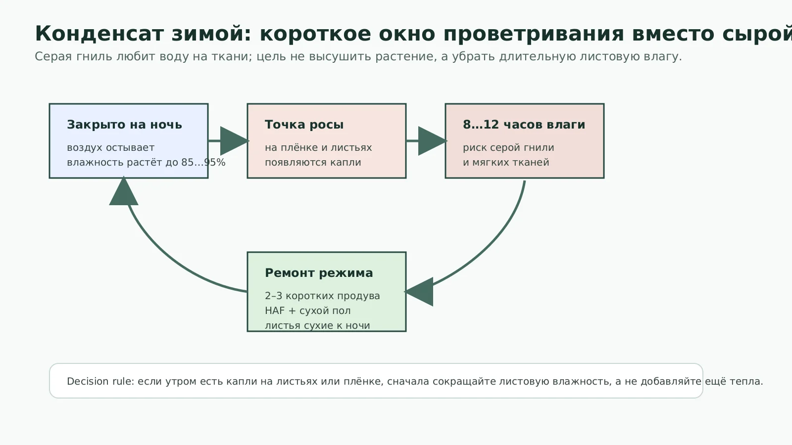 Схема риска конденсата зимой и короткого проветривания против серой гнили