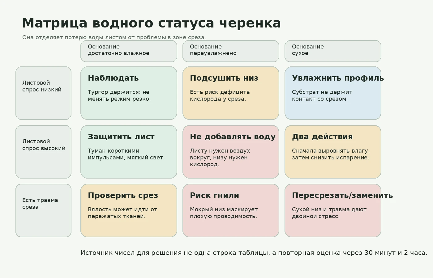 Матрица водного статуса черенка по листовому спросу и состоянию основания