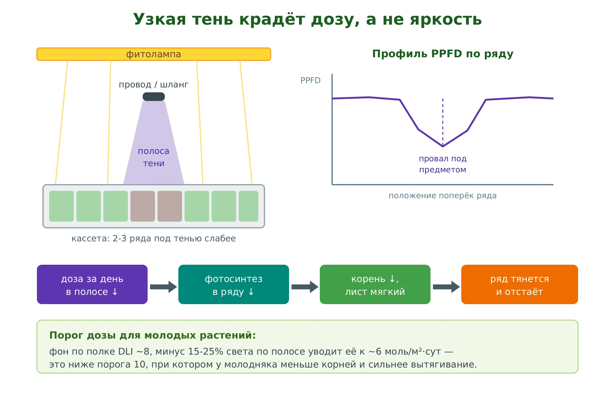 Схема: узкий предмет над кассетой кладёт полосу тени на 2-3 ряда, доза за сутки в полосе падает, профиль PPFD проседает
