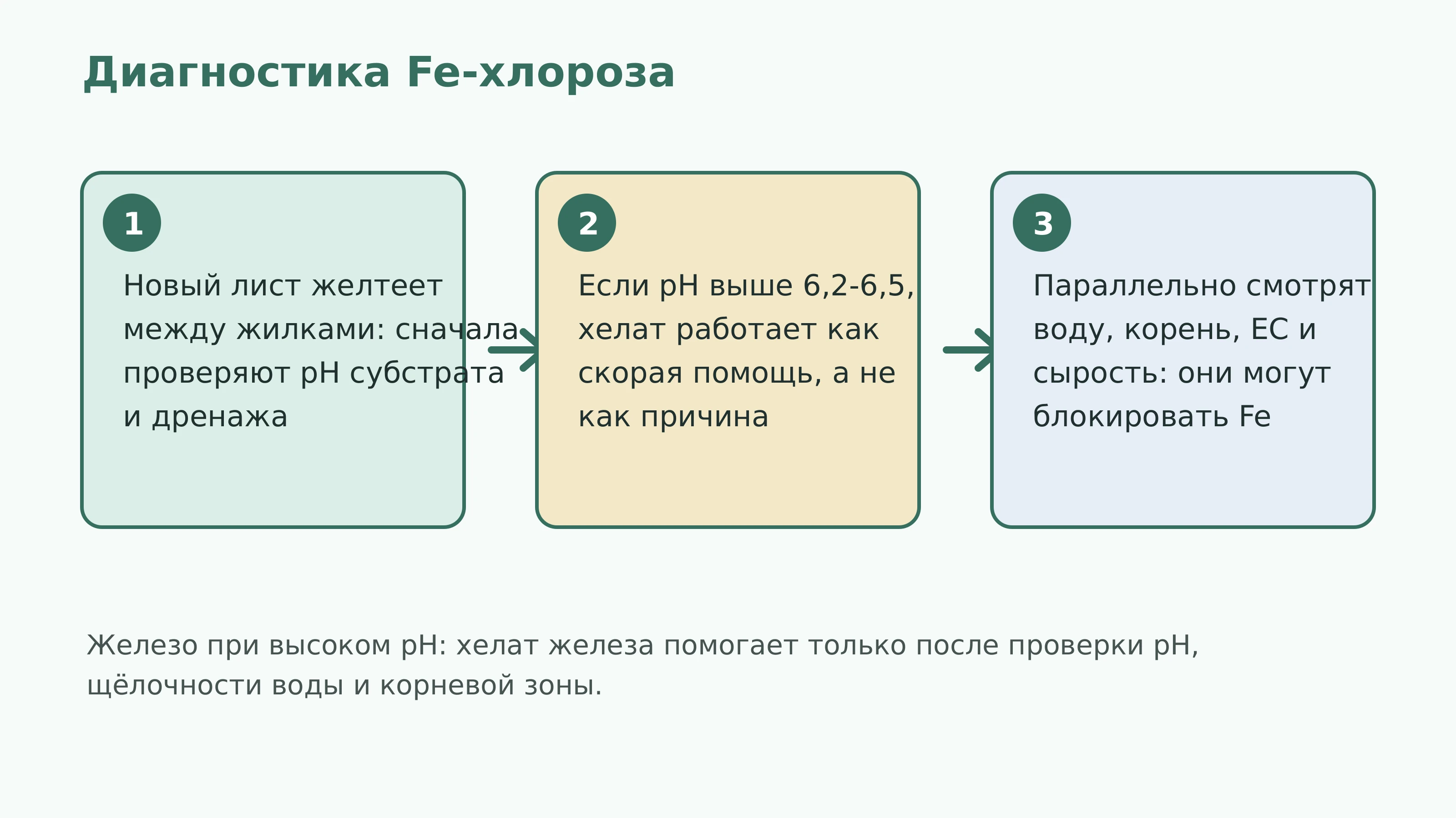 Диагностика Fe-хлороза