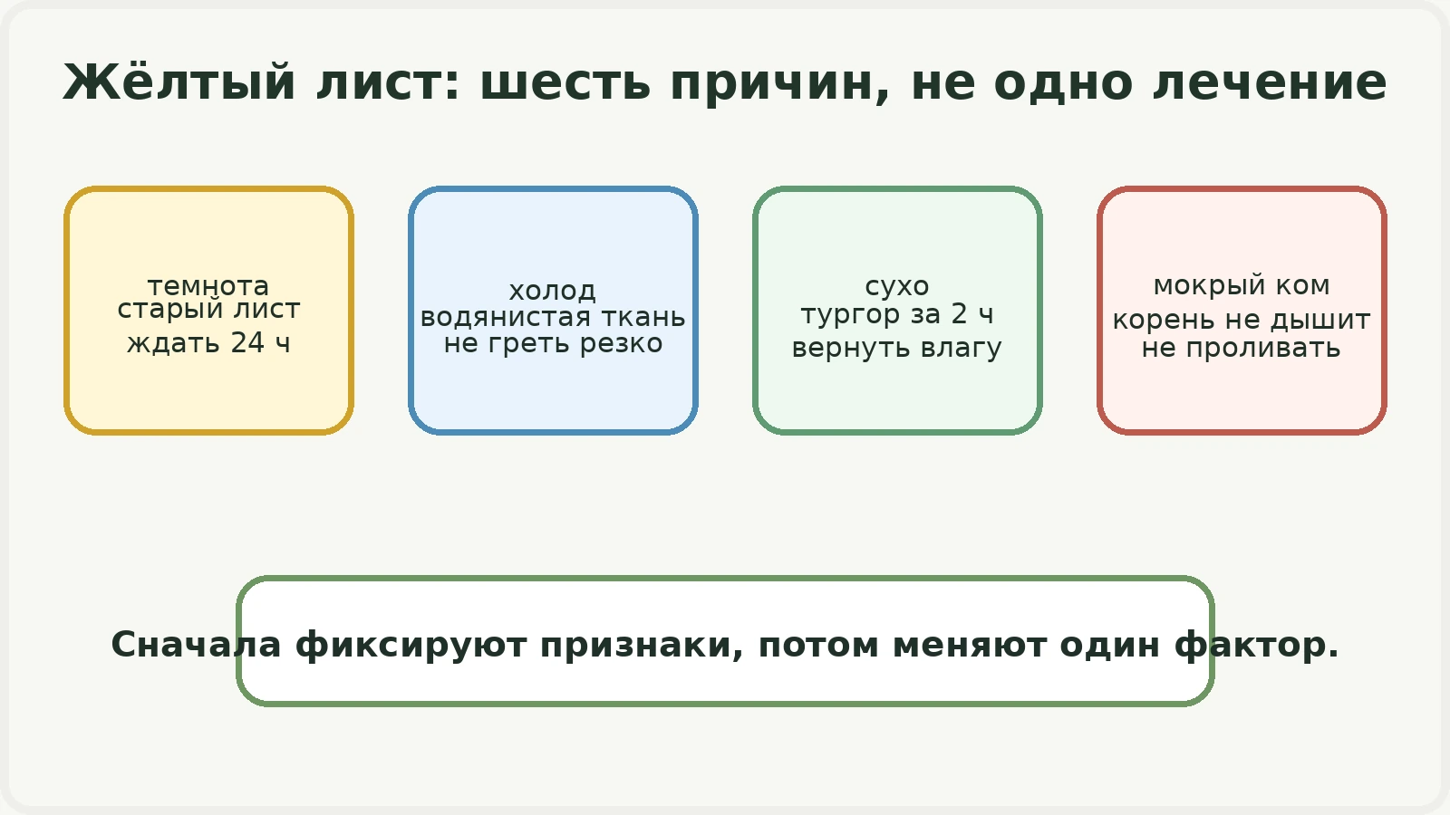 Диаграмма: жёлтый лист после доставки имеет несколько причин и разные первые действия