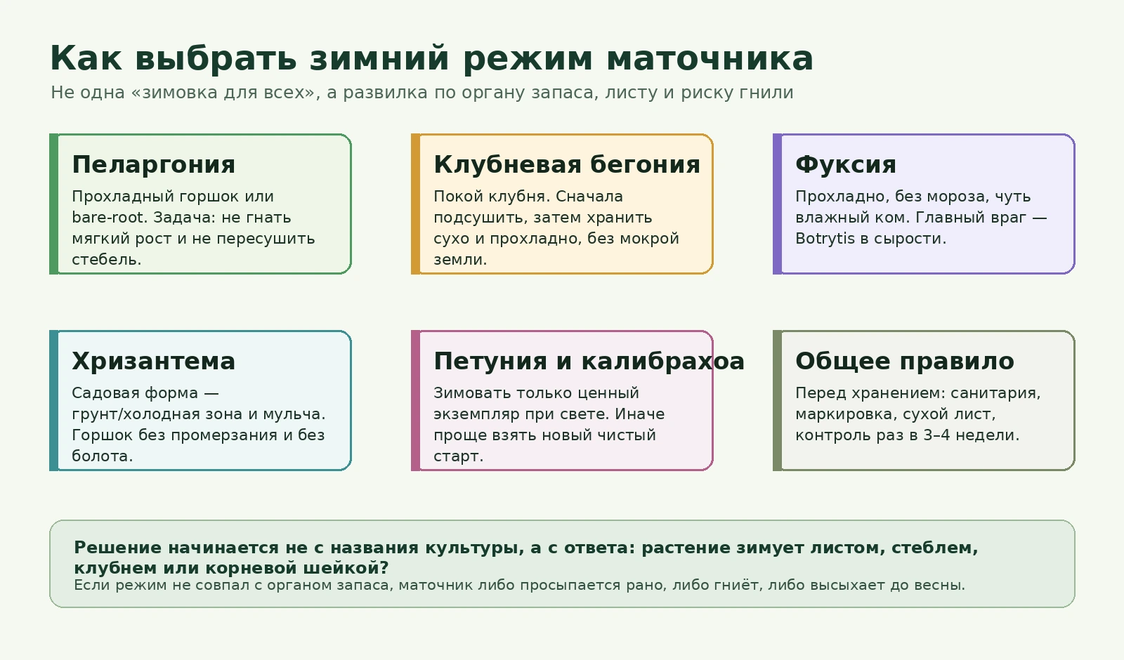 Схема выбора зимнего режима маточника по культуре, органу запаса и риску гнили