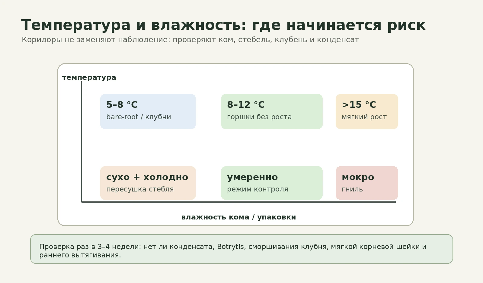 Схема температурно-влажностных рисков при зимнем хранении маточников