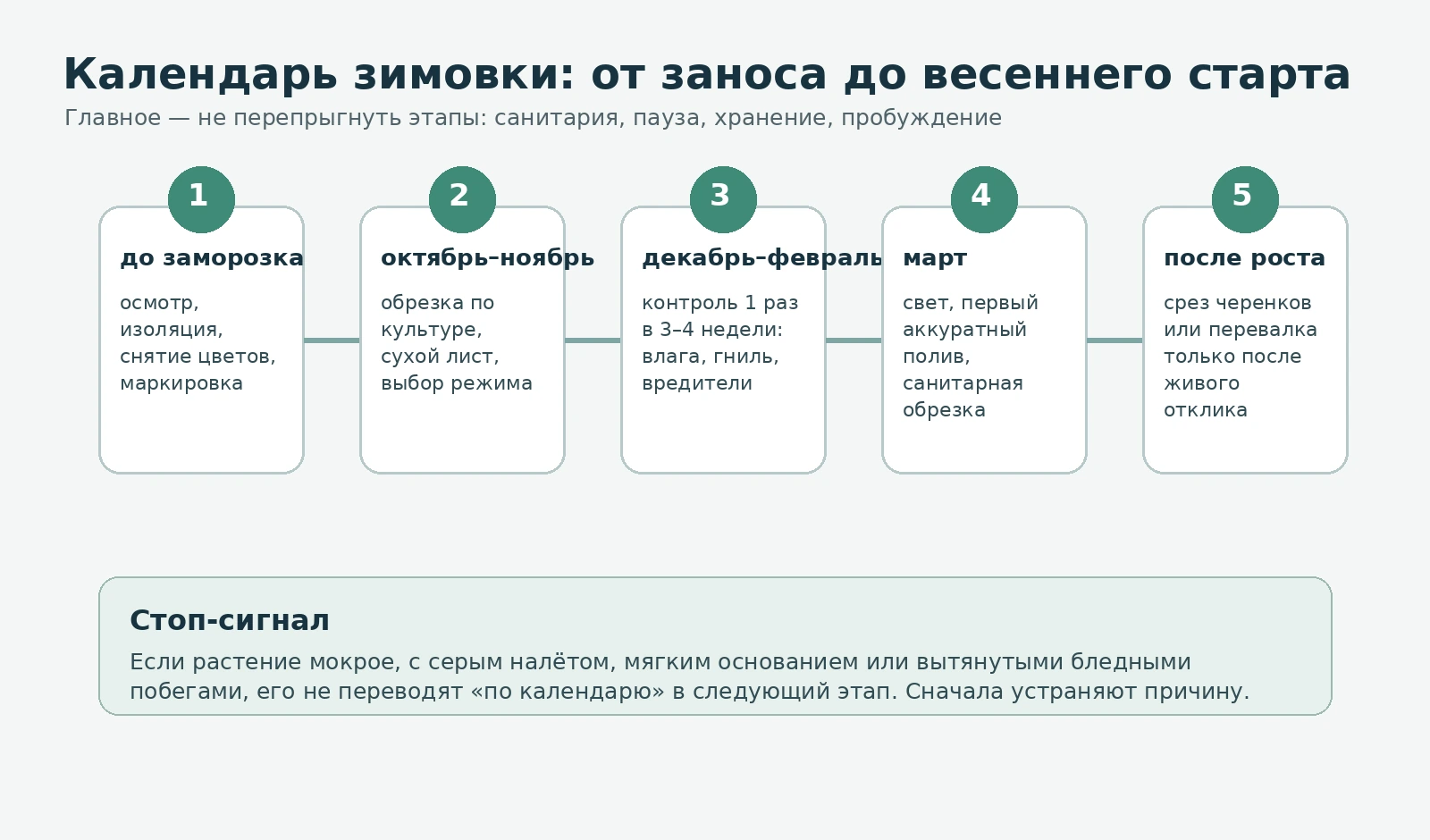 Календарь зимовки маточников от заноса до весеннего старта