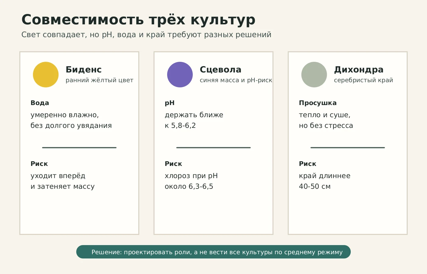 Карта совместимости сцеволы, биденса и дихондры по свету, pH, воде и роли в корзине