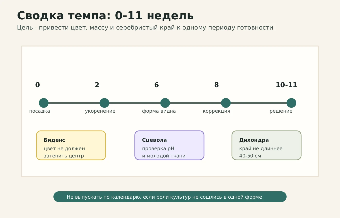 Календарь сводки темпа для корзины 30-35 см с сцеволой, биденсом и дихондрой
